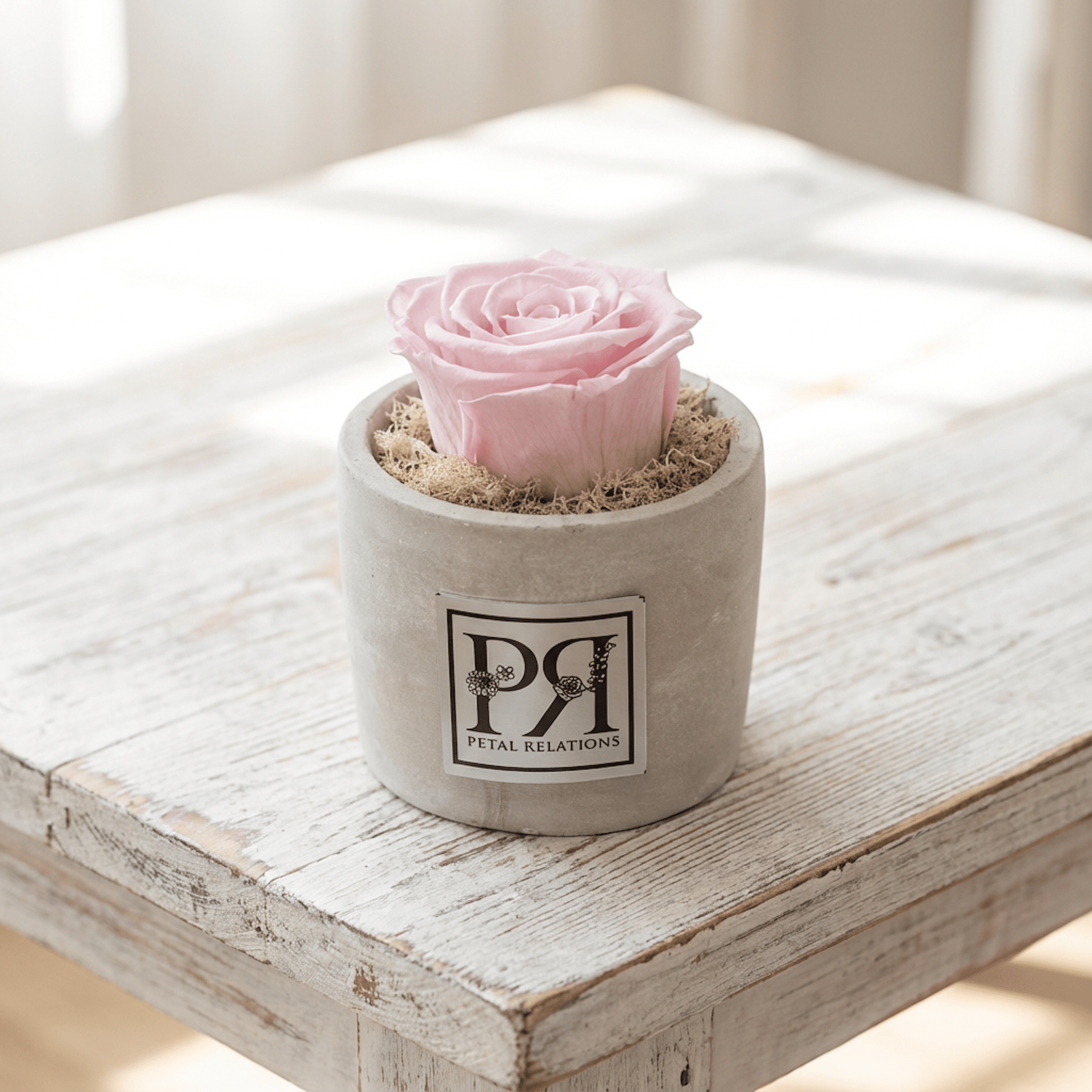 Single - Forever Rose - Petal Relations LA