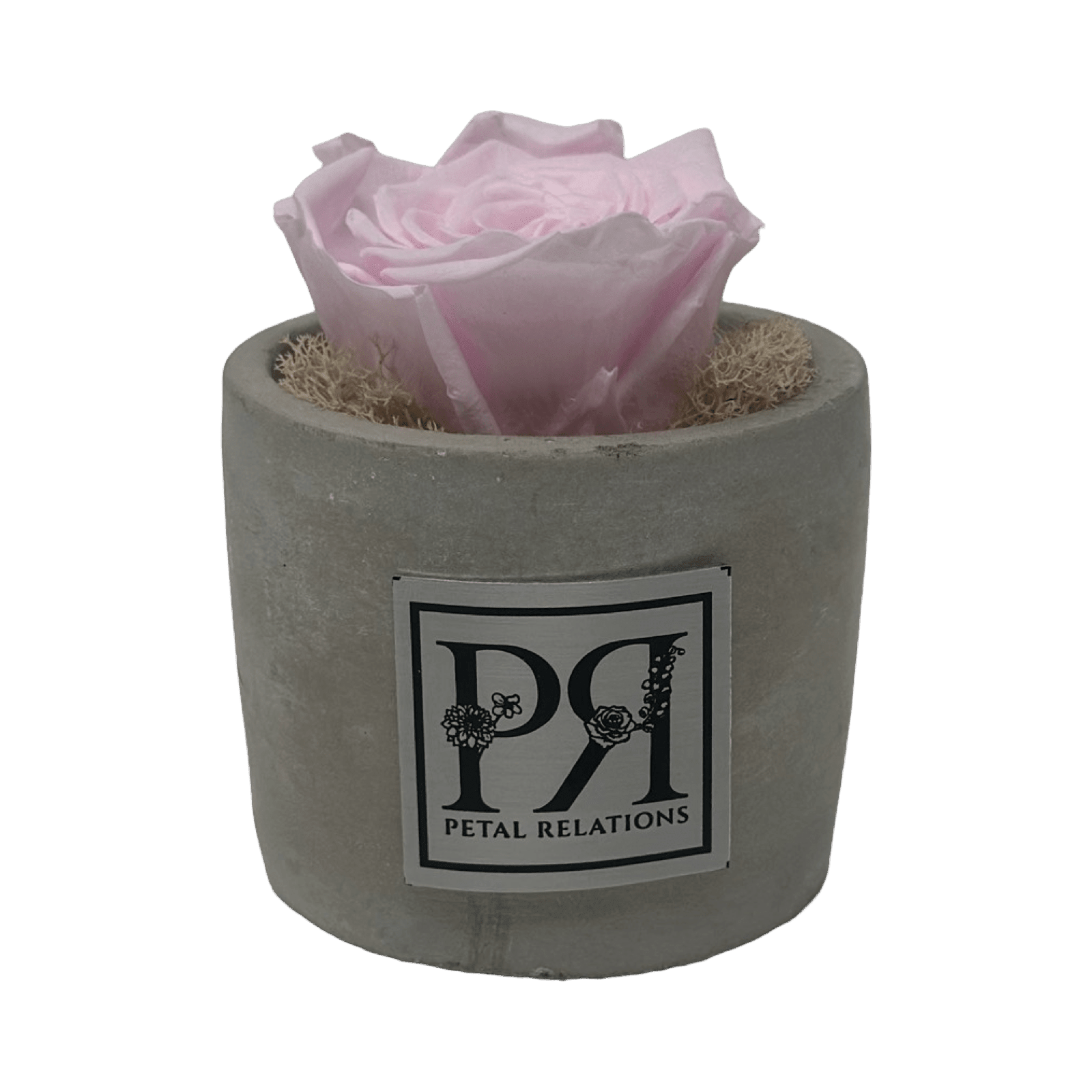 Single - Forever Rose - Petal Relations LA