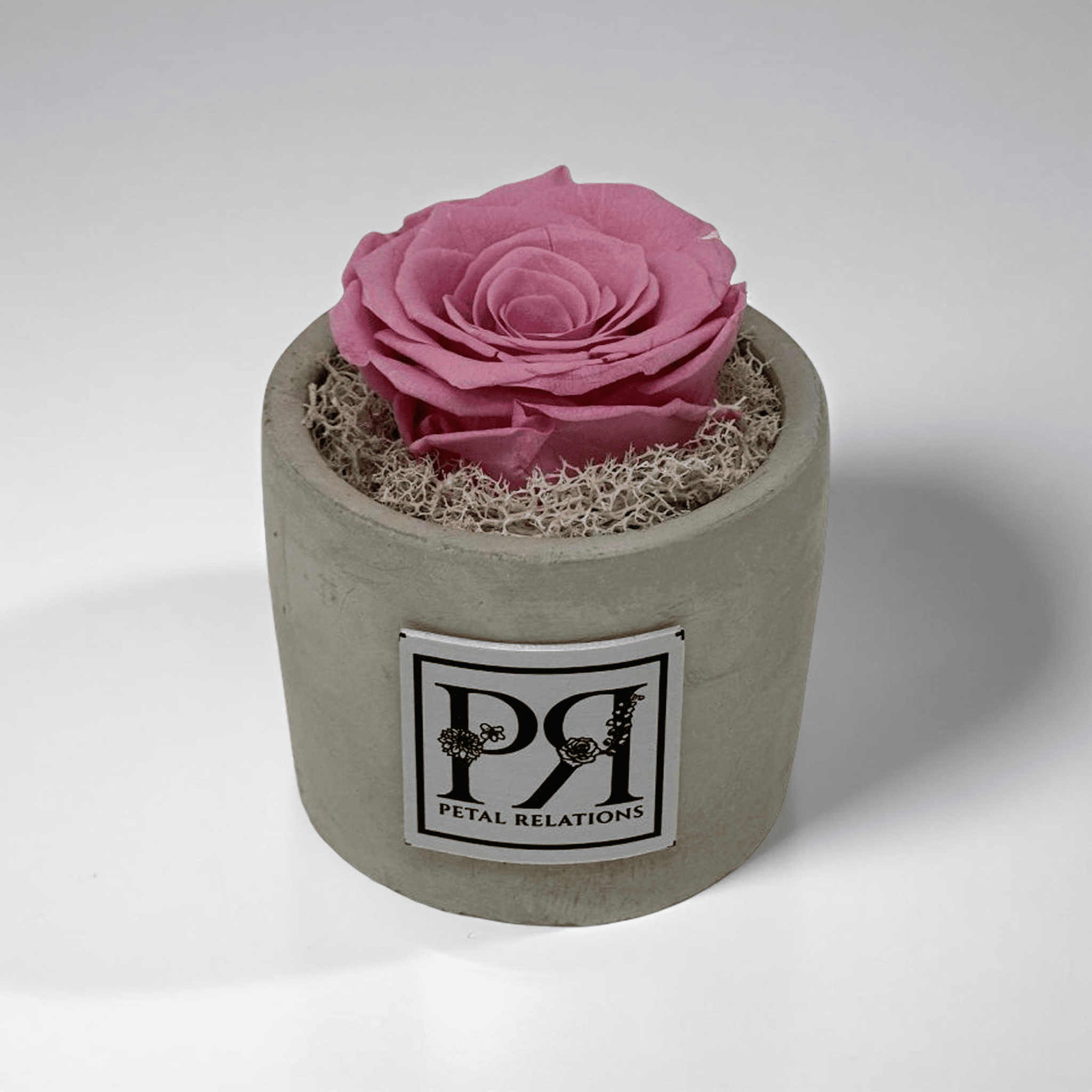 Single - Forever Rose - Petal Relations LA