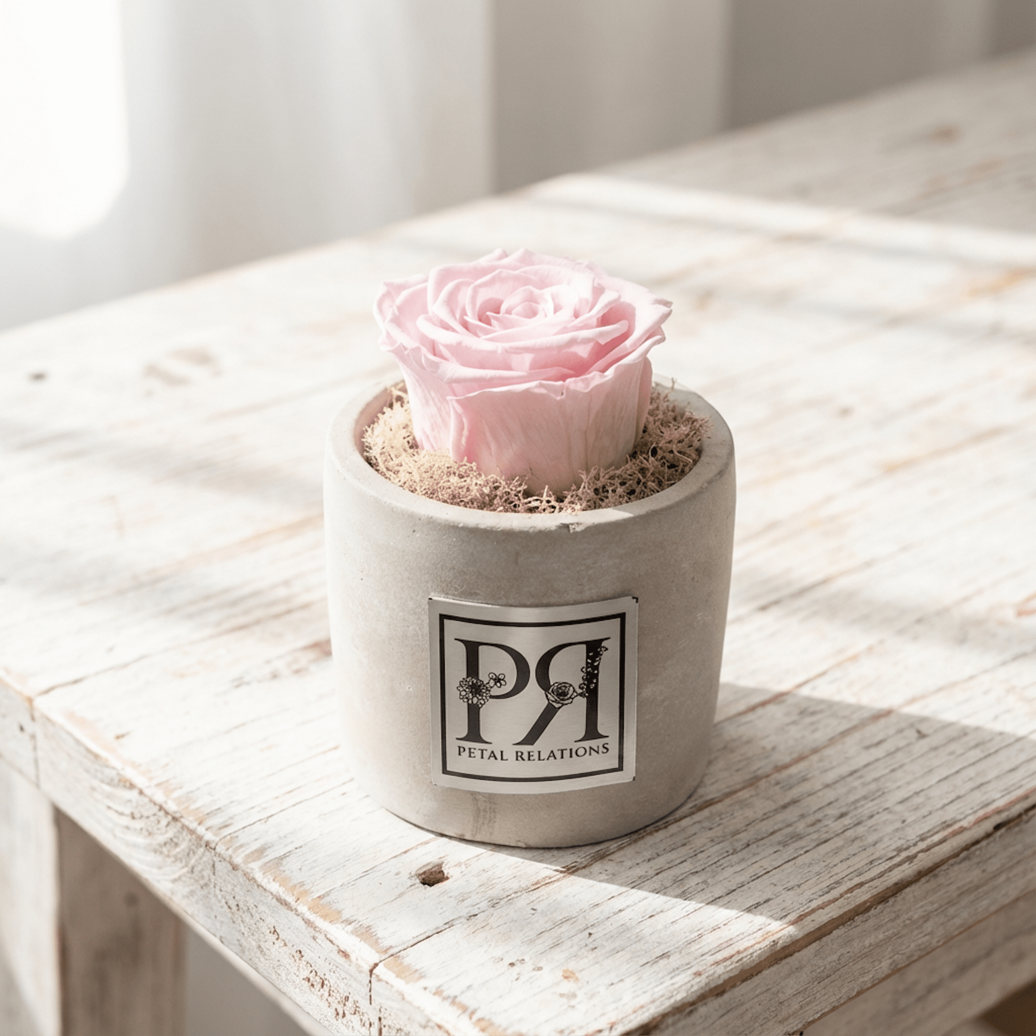 Single - Forever Rose - Petal Relations LA