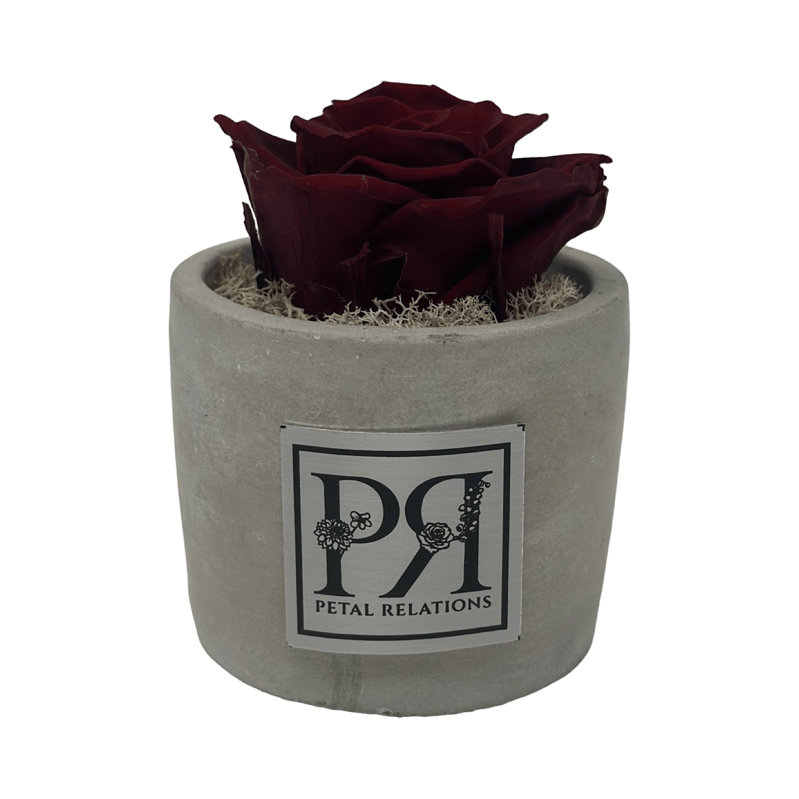 Single - Forever Rose - Petal Relations LA