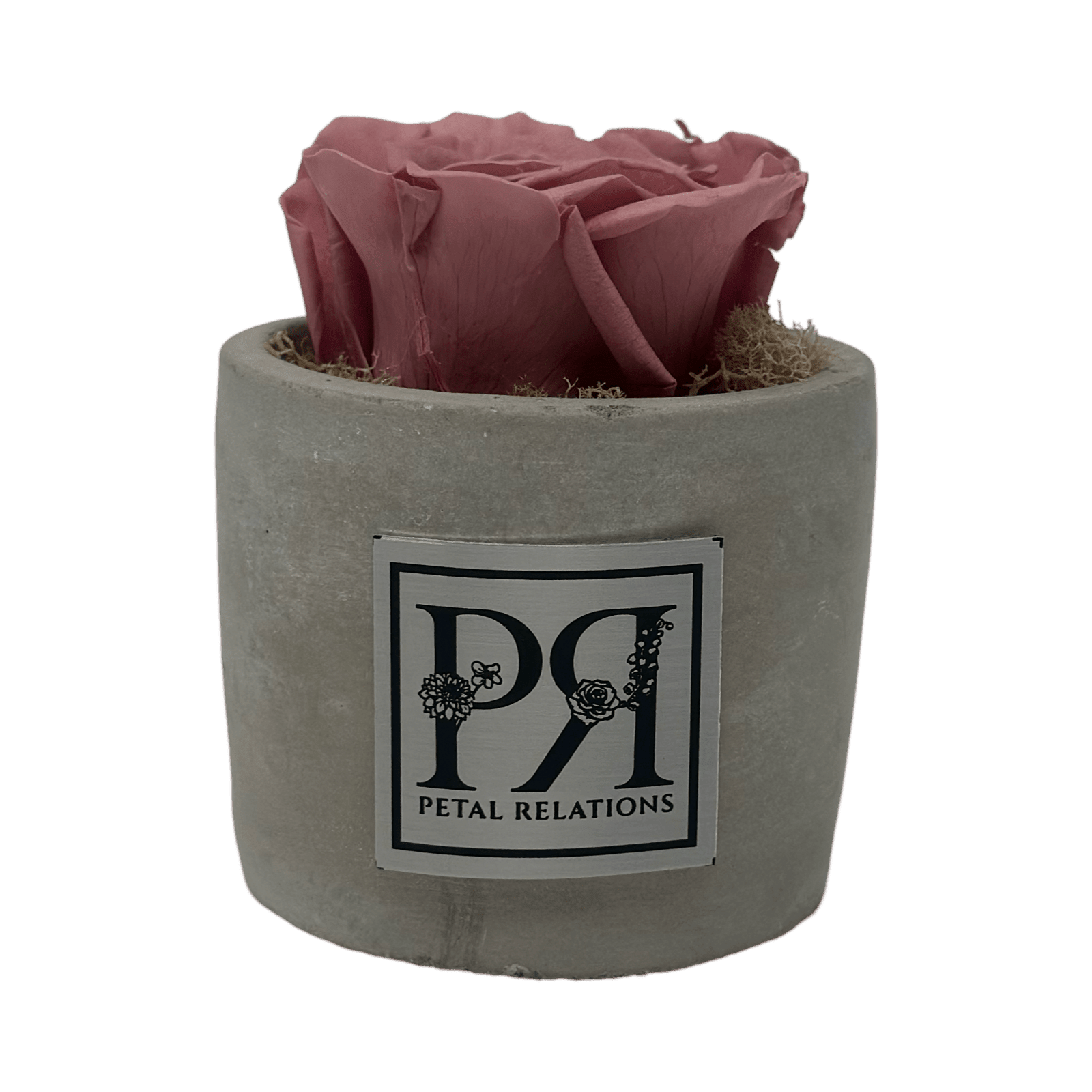 Single - Forever Rose - Petal Relations LA