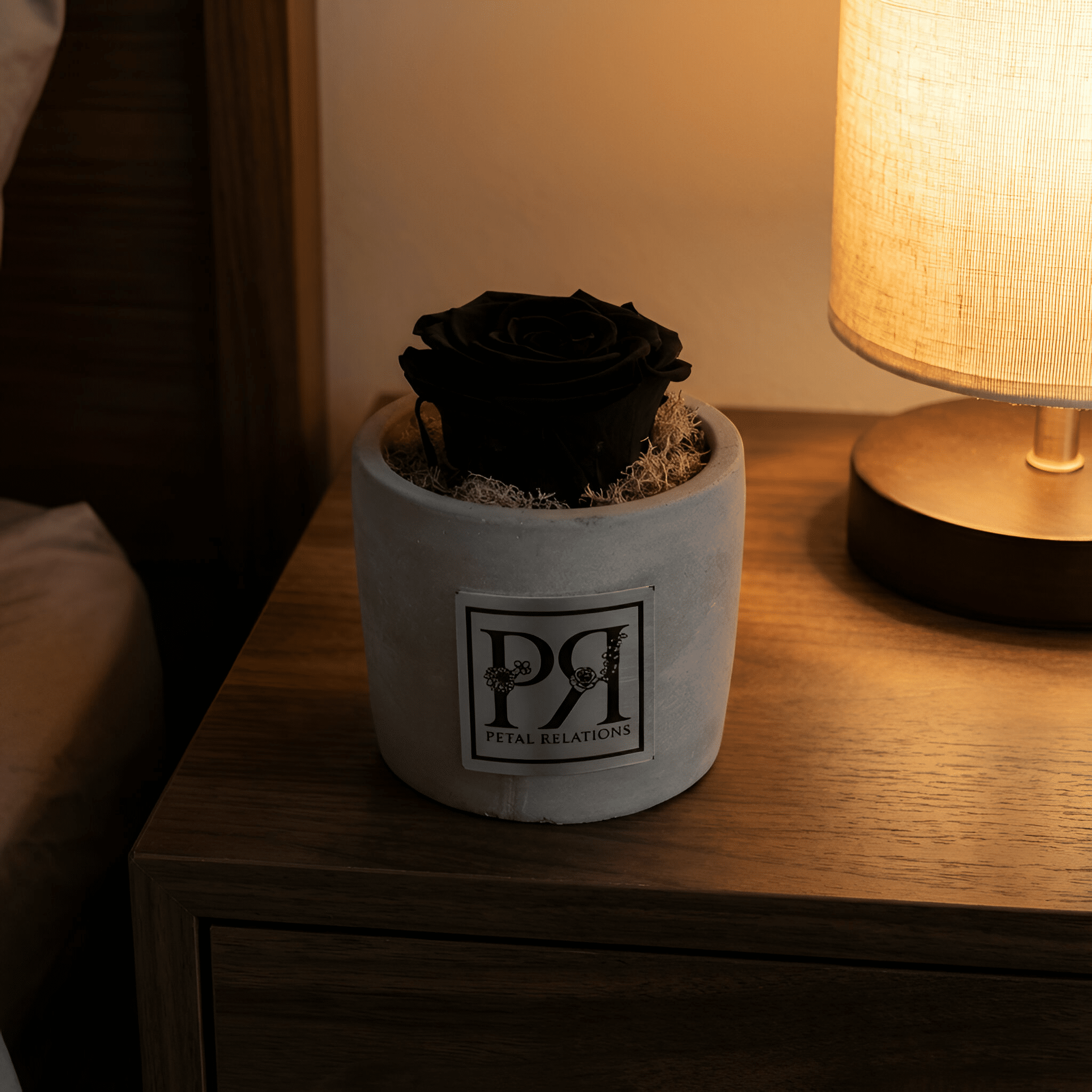 Single - Forever Rose - Petal Relations LA