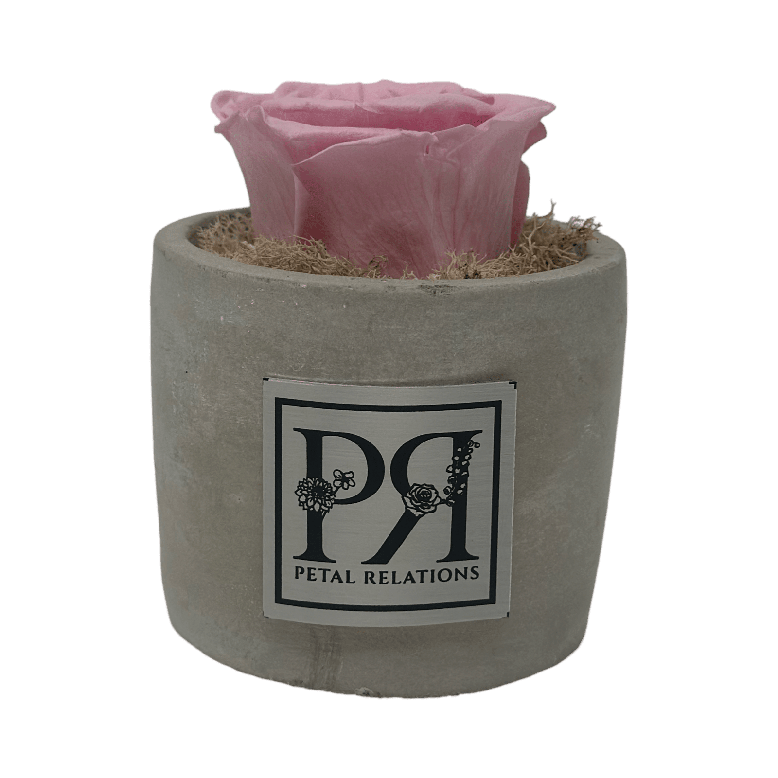 Single - Forever Rose - Petal Relations LA