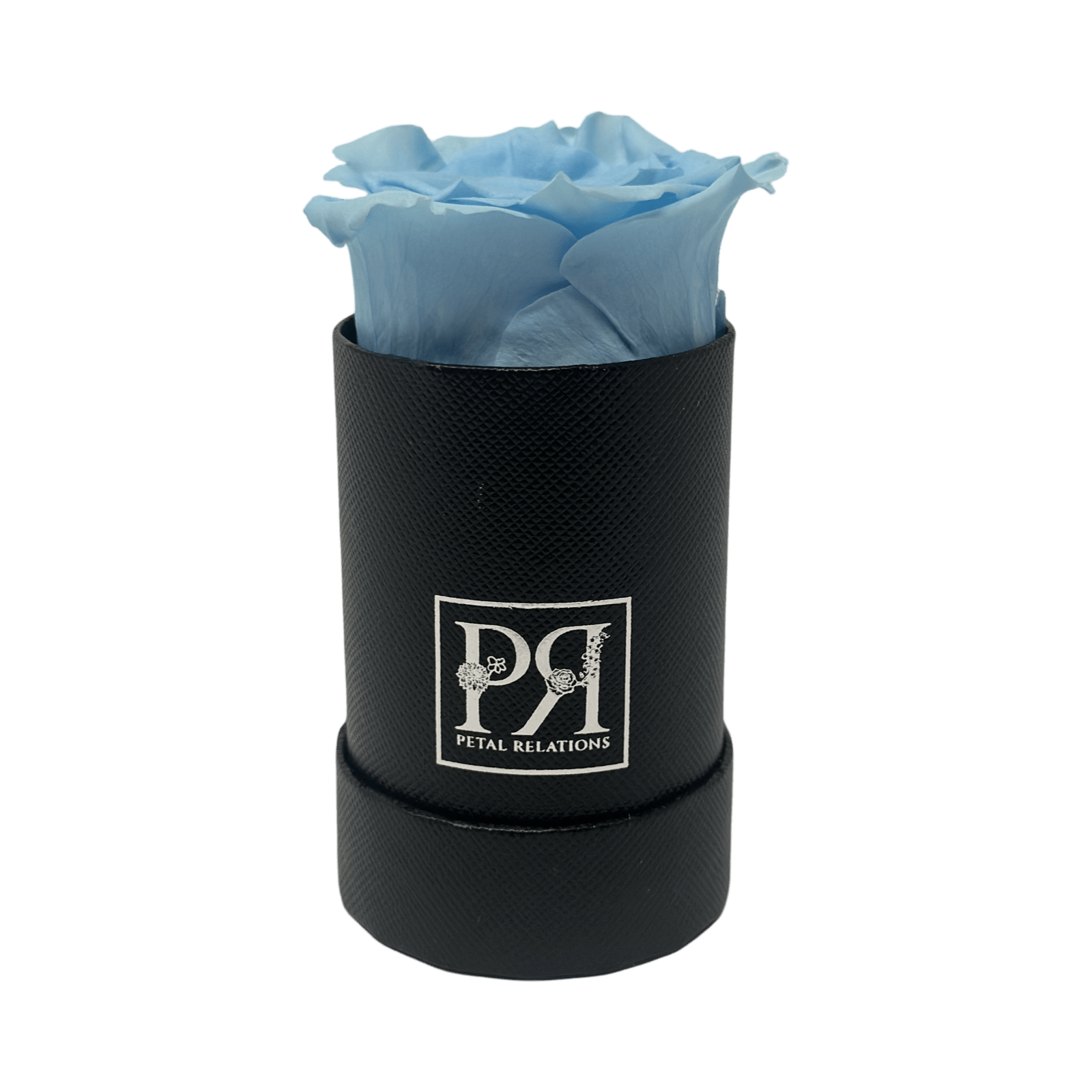 Single - Forever Rose in a Box - Petal Relations LA