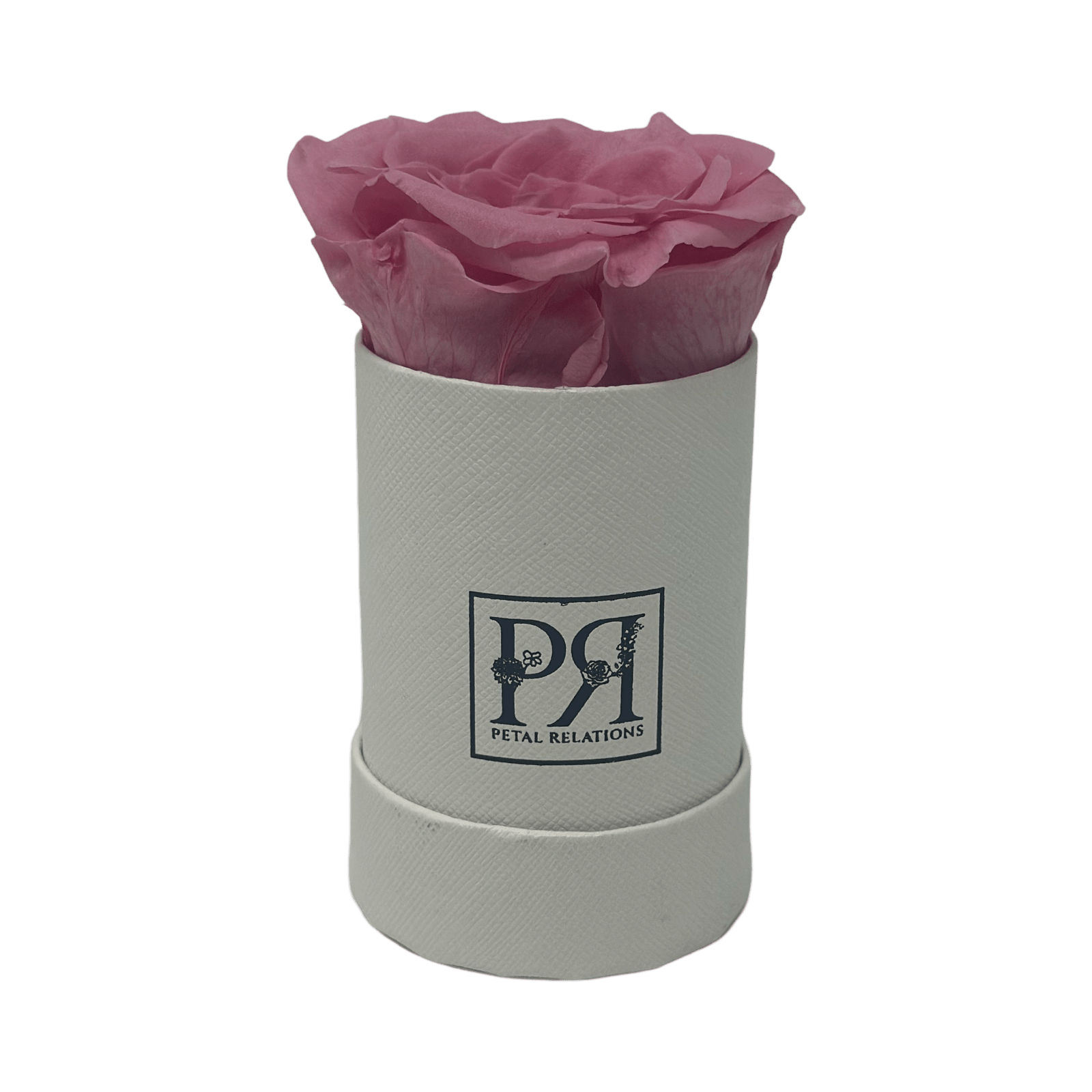 Single - Forever Rose in a Box - Petal Relations LA
