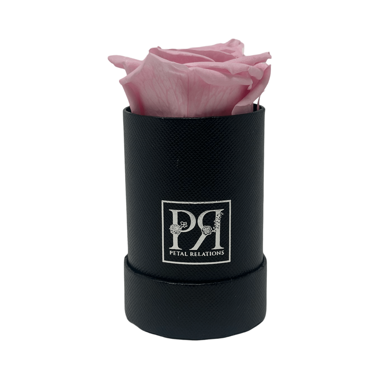 Single - Forever Rose in a Box - Petal Relations LA