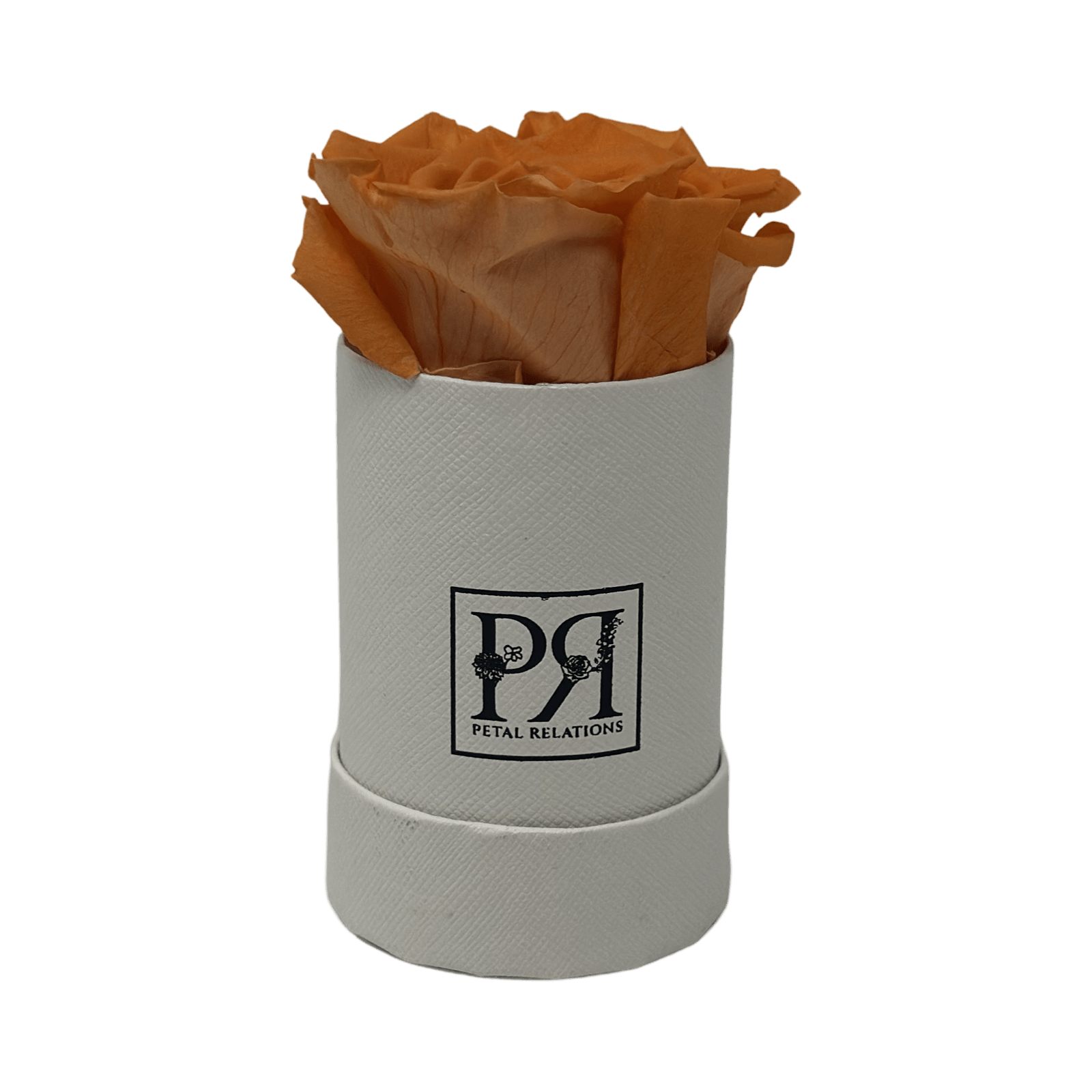 Single - Forever Rose in a Box - Petal Relations LA