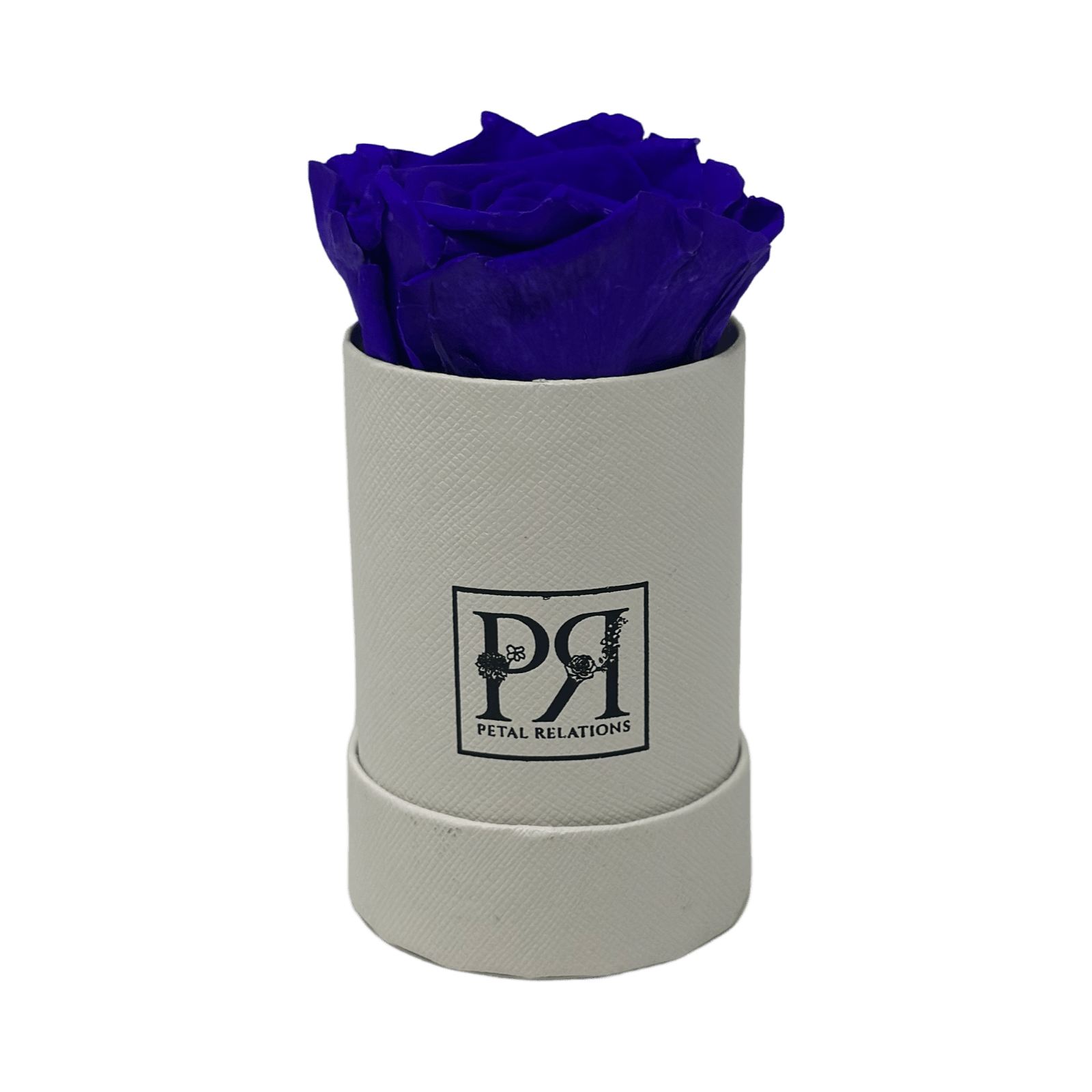 Single - Forever Rose in a Box - Petal Relations LA