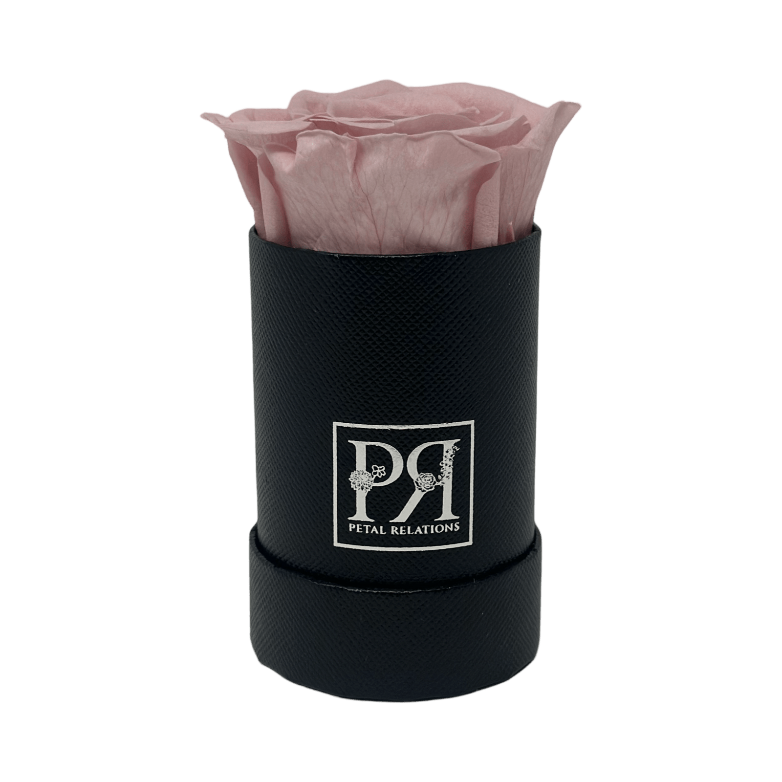 Single - Forever Rose in a Box - Petal Relations LA