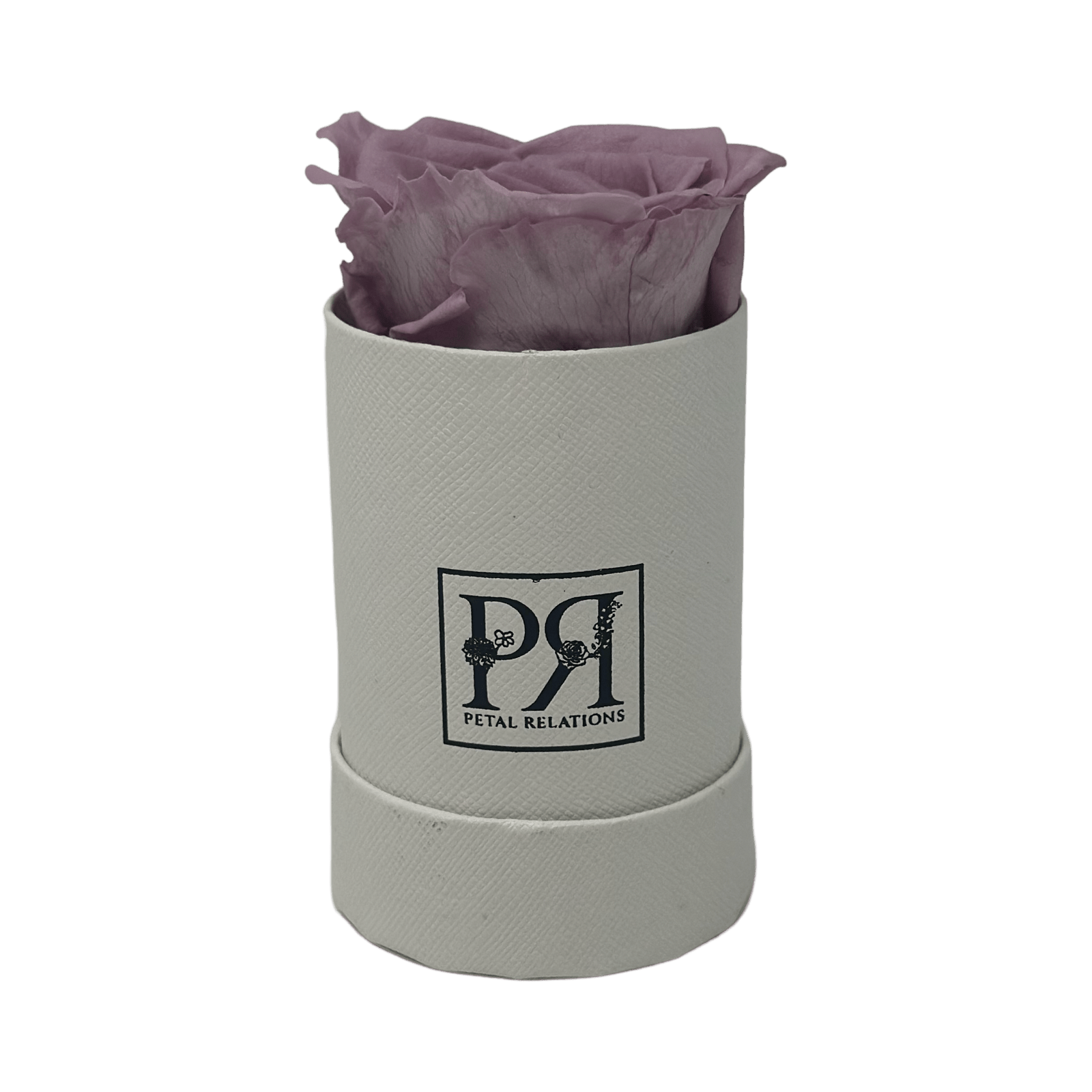 Single - Forever Rose in a Box - Petal Relations LA