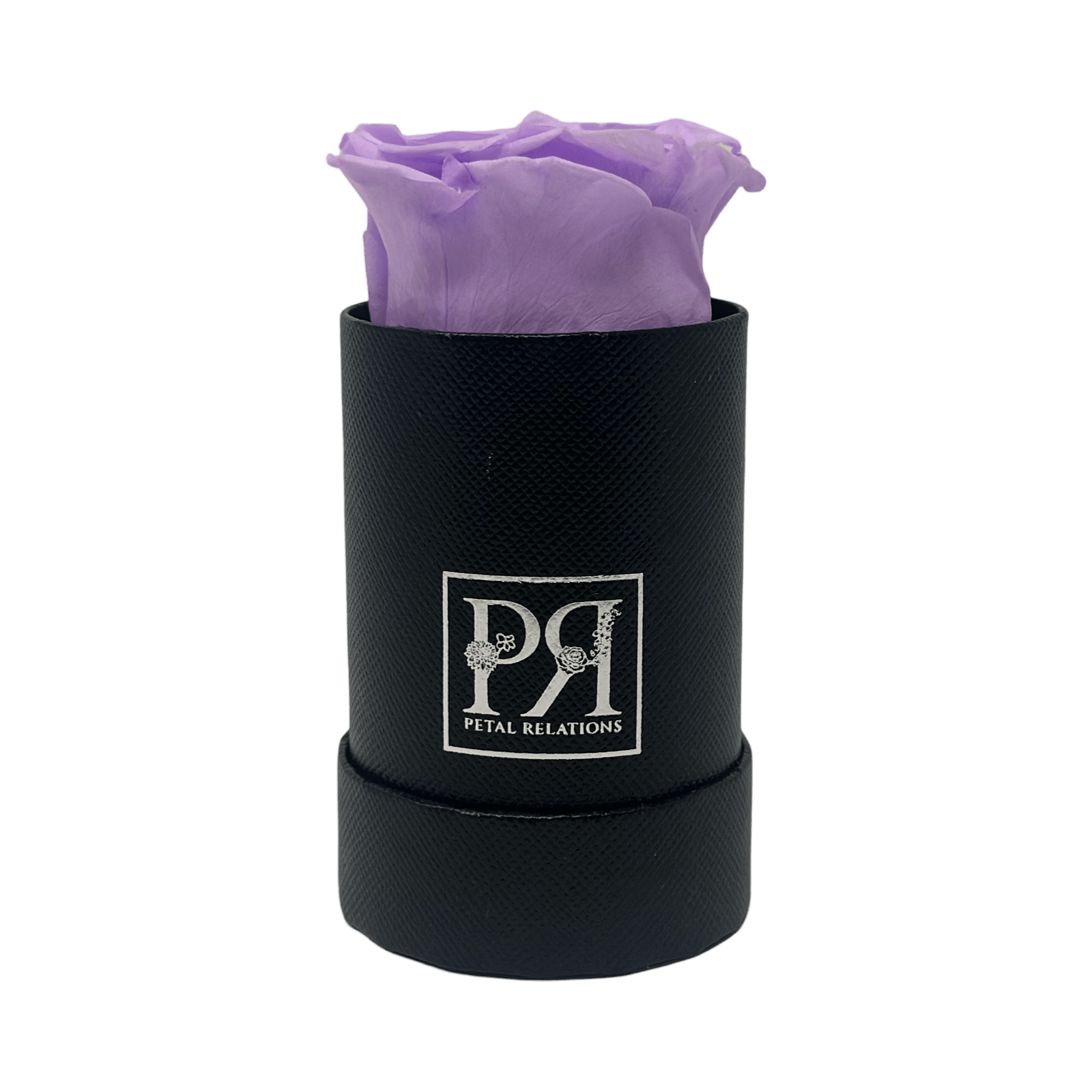 Single - Forever Rose in a Box - Petal Relations LA