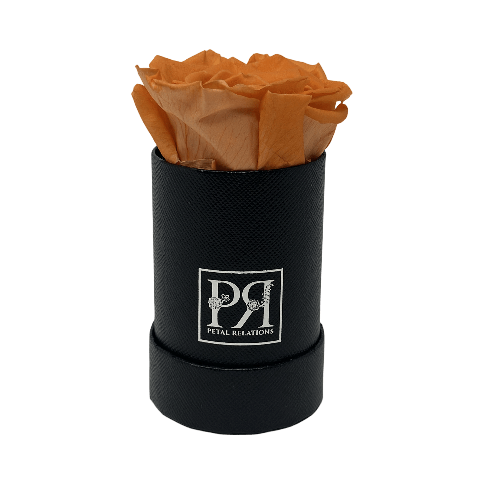 Single - Forever Rose in a Box - Petal Relations LA
