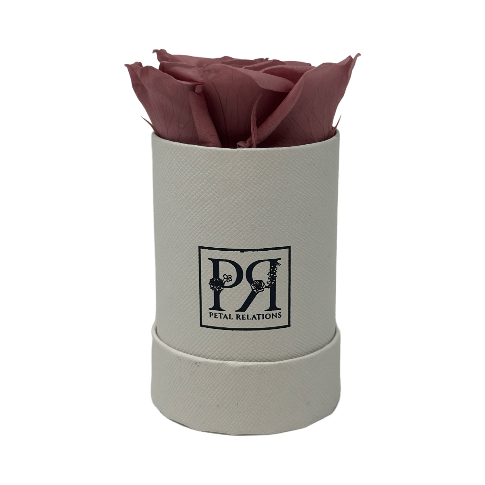 Single - Forever Rose in a Box - Petal Relations LA