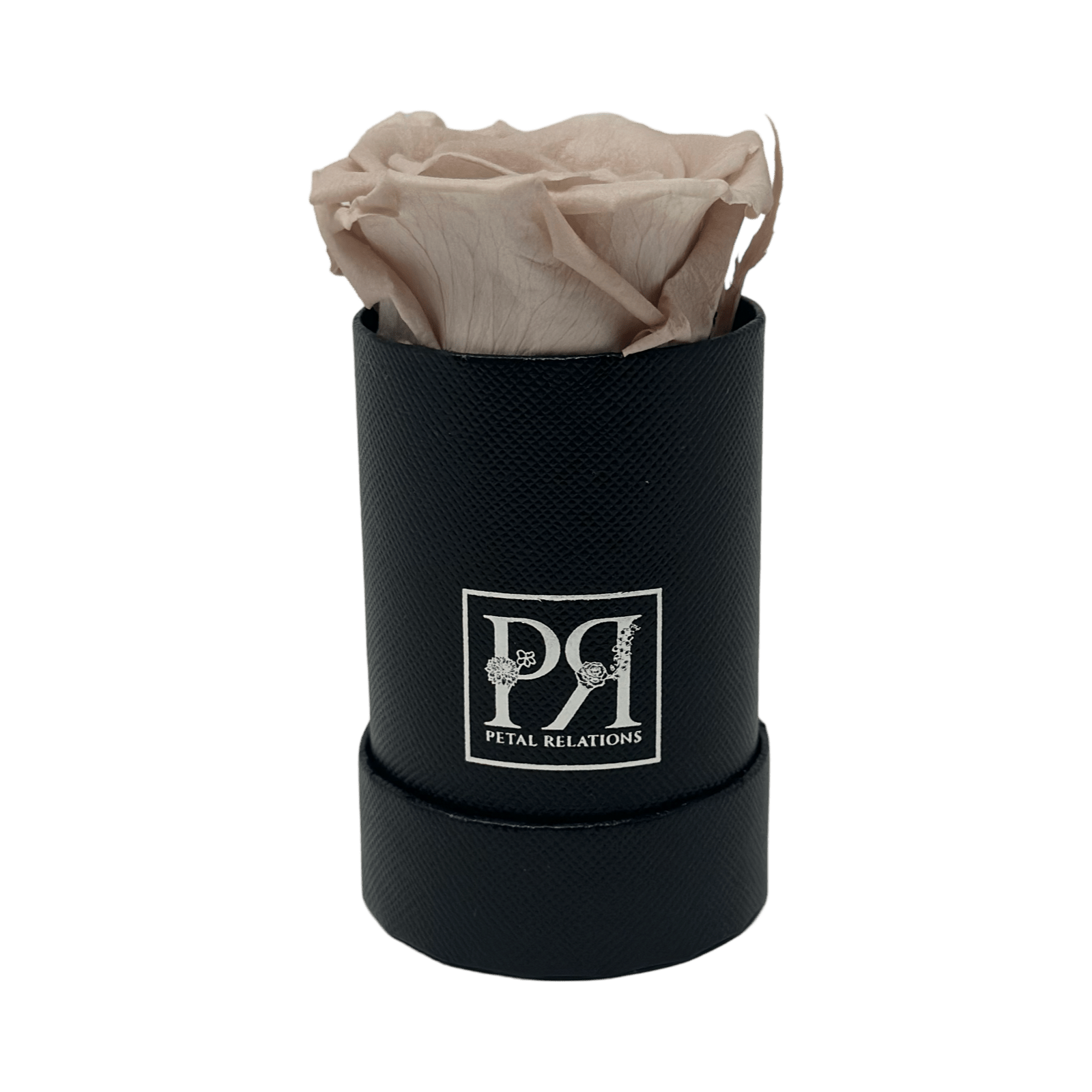 Single - Forever Rose in a Box - Petal Relations LA