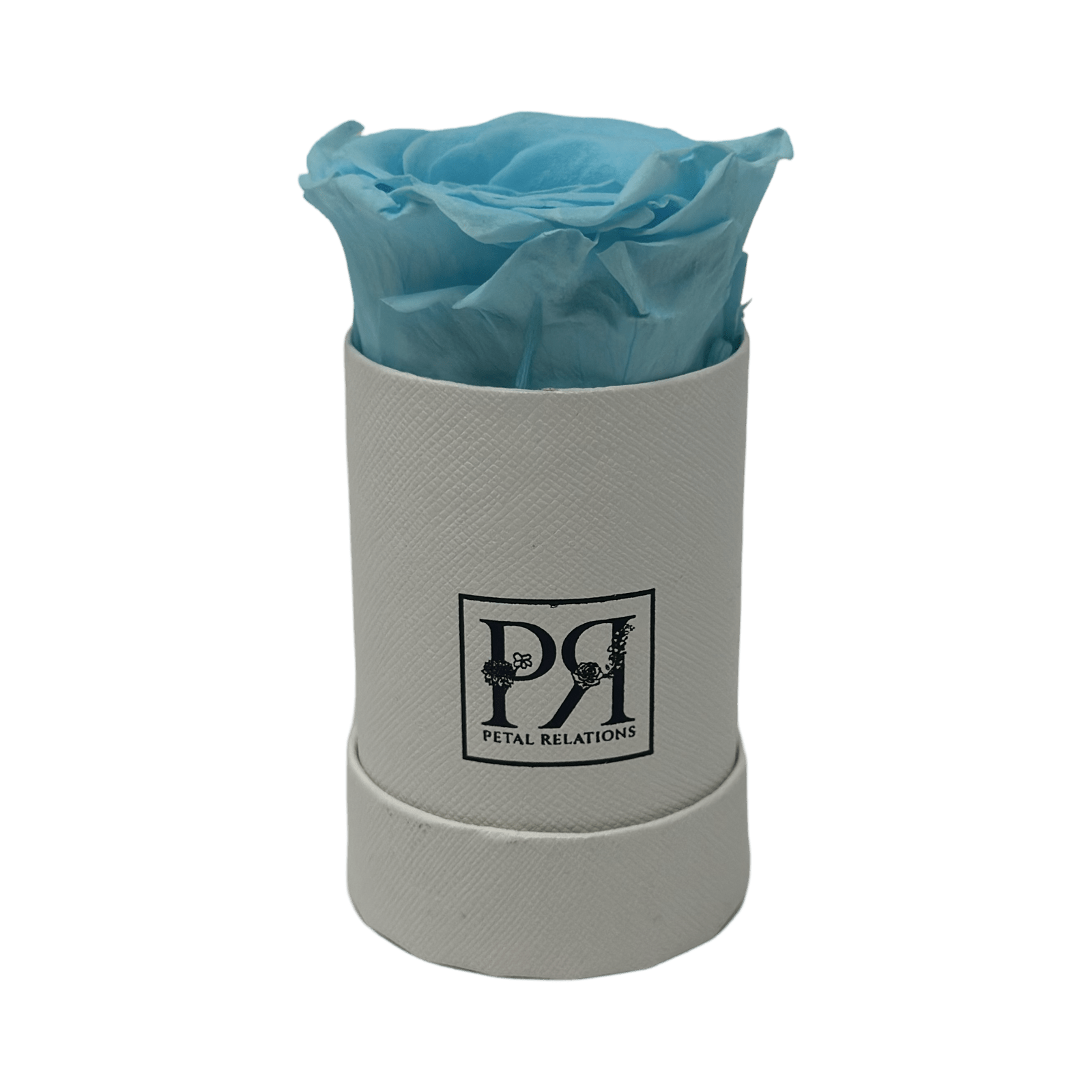 Single - Forever Rose in a Box - Petal Relations LA