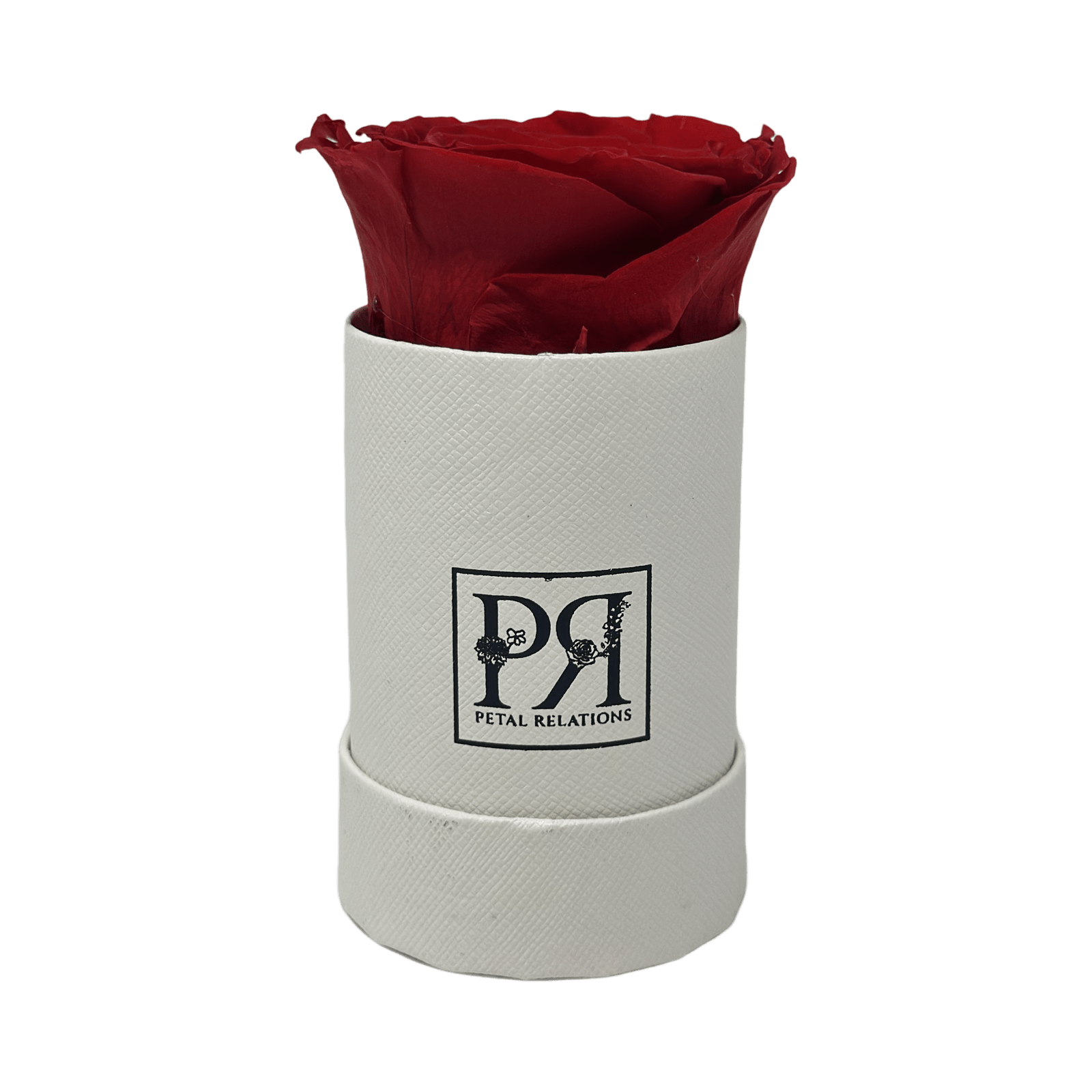 Single - Forever Rose in a Box - Petal Relations LA