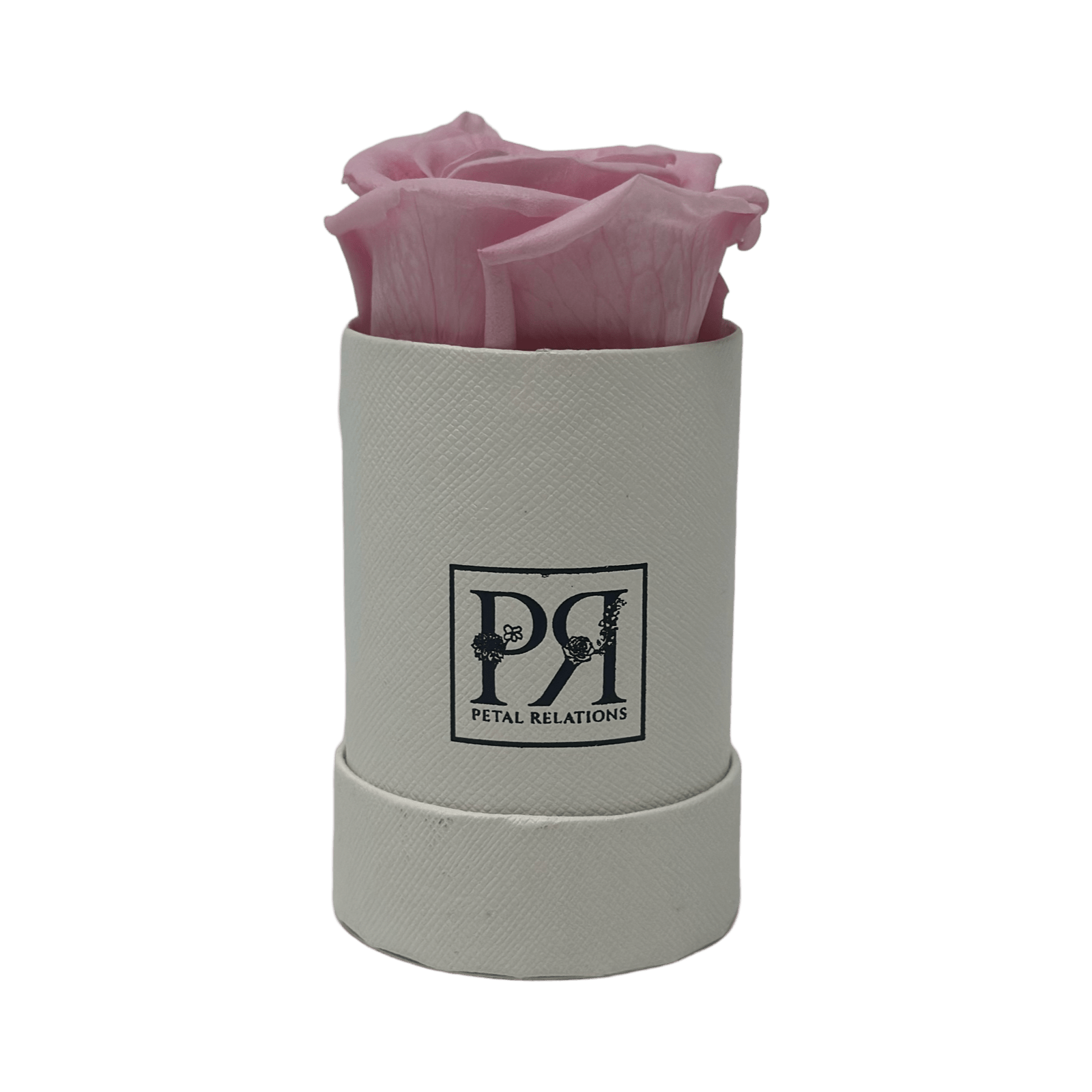 Single - Forever Rose in a Box - Petal Relations LA