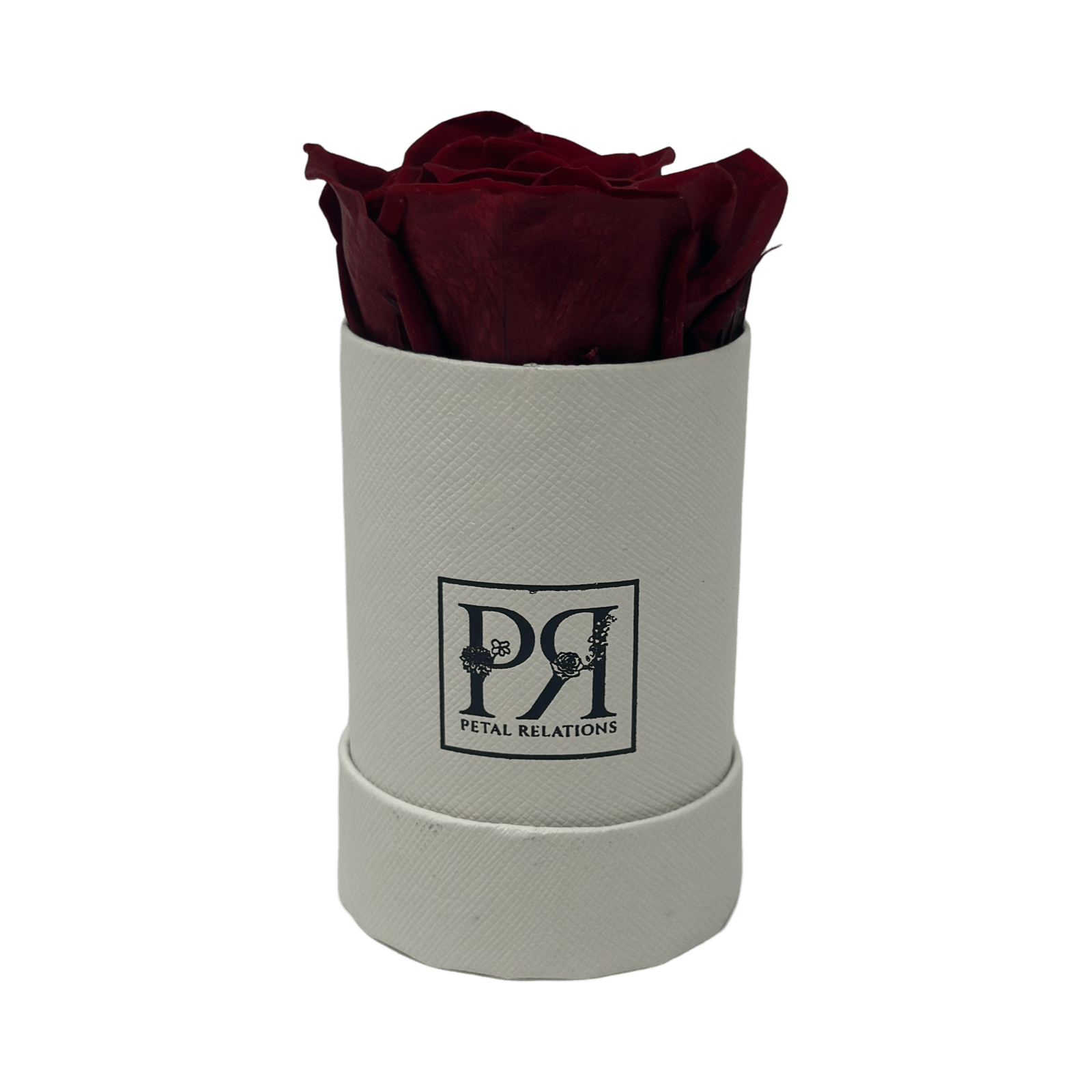 Single - Forever Rose in a Box - Petal Relations LA