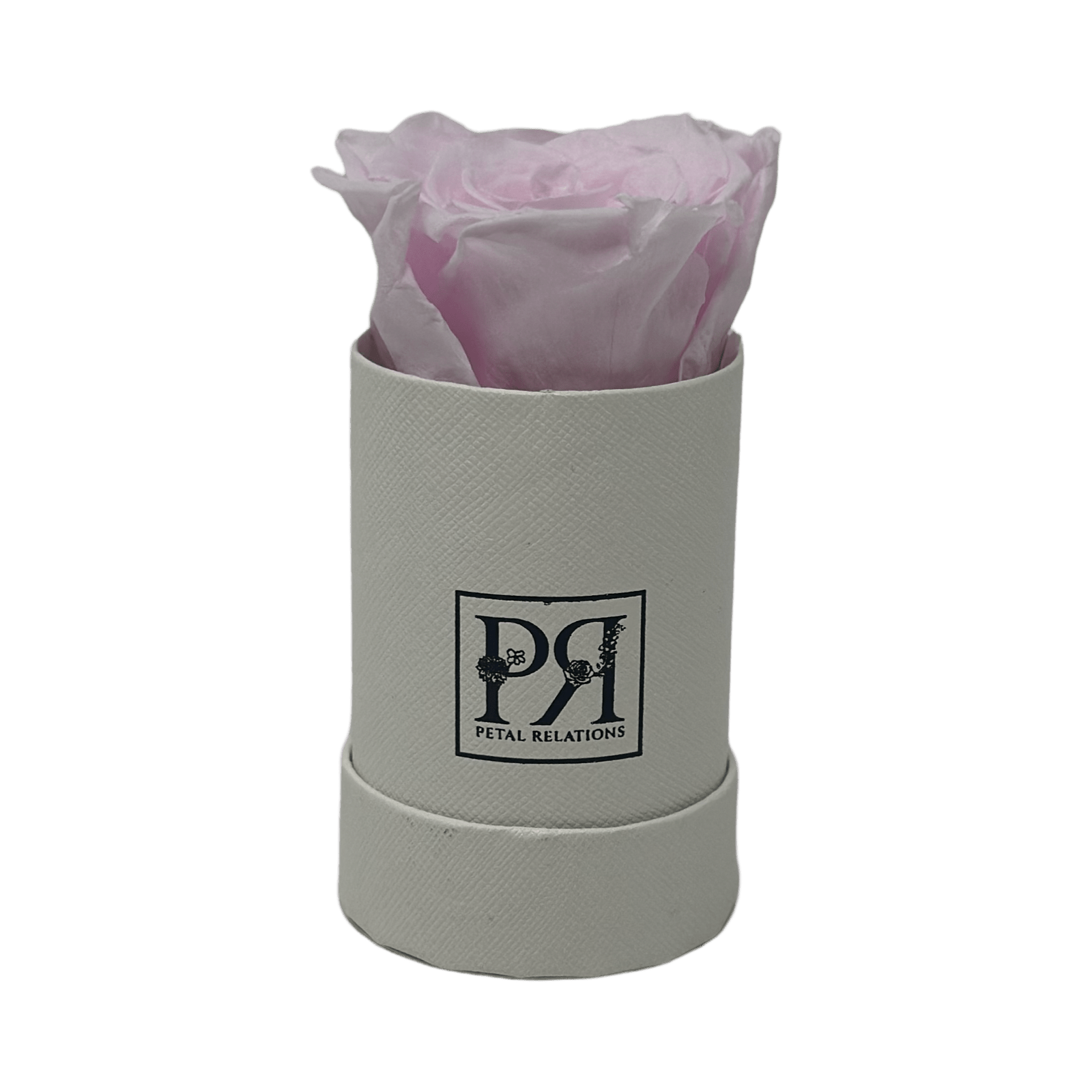 Single - Forever Rose in a Box - Petal Relations LA