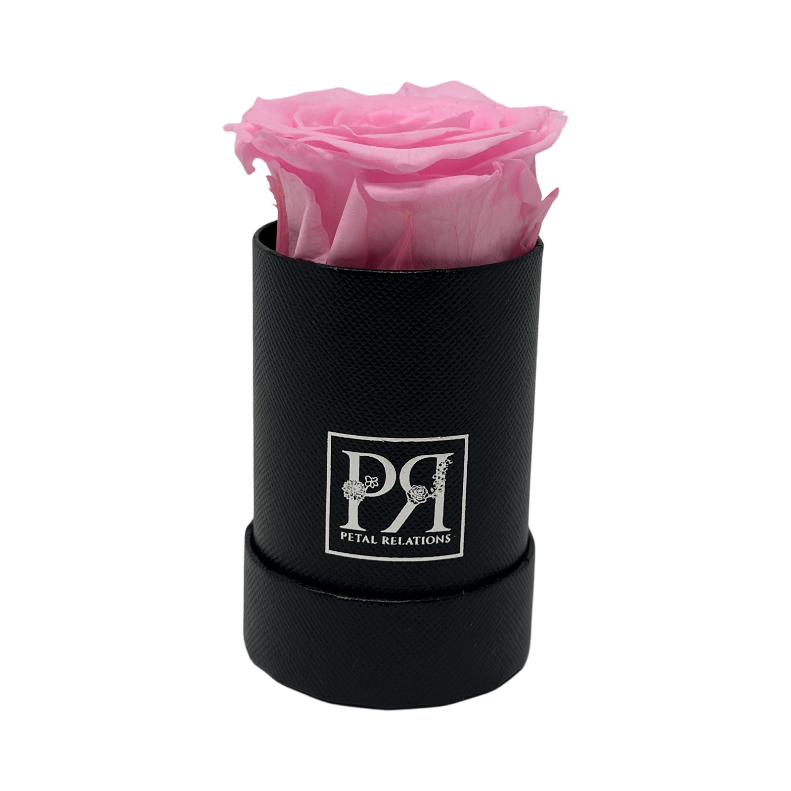 Single - Forever Rose in a Box - Petal Relations LA