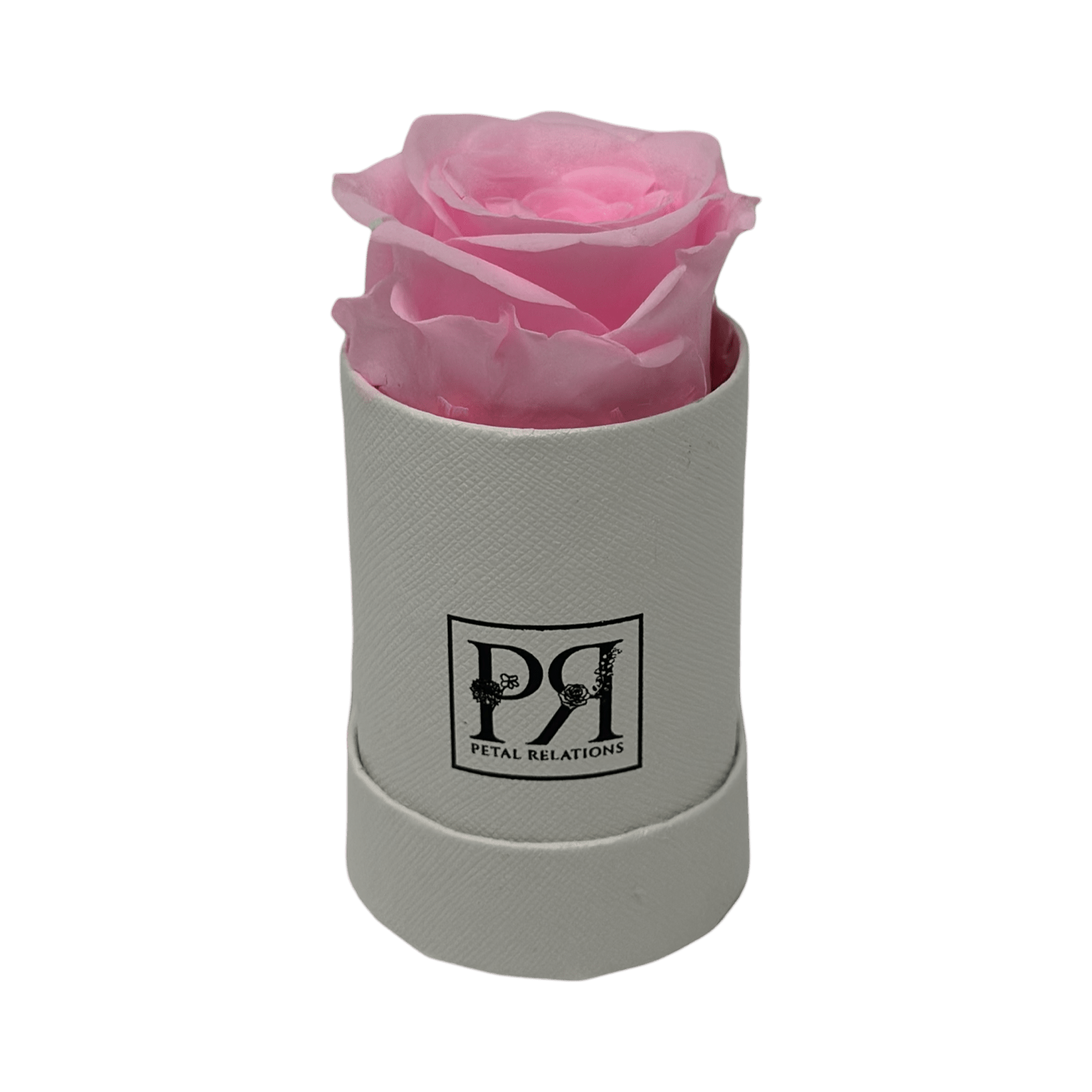 Single - Forever Rose in a Box - Petal Relations LA