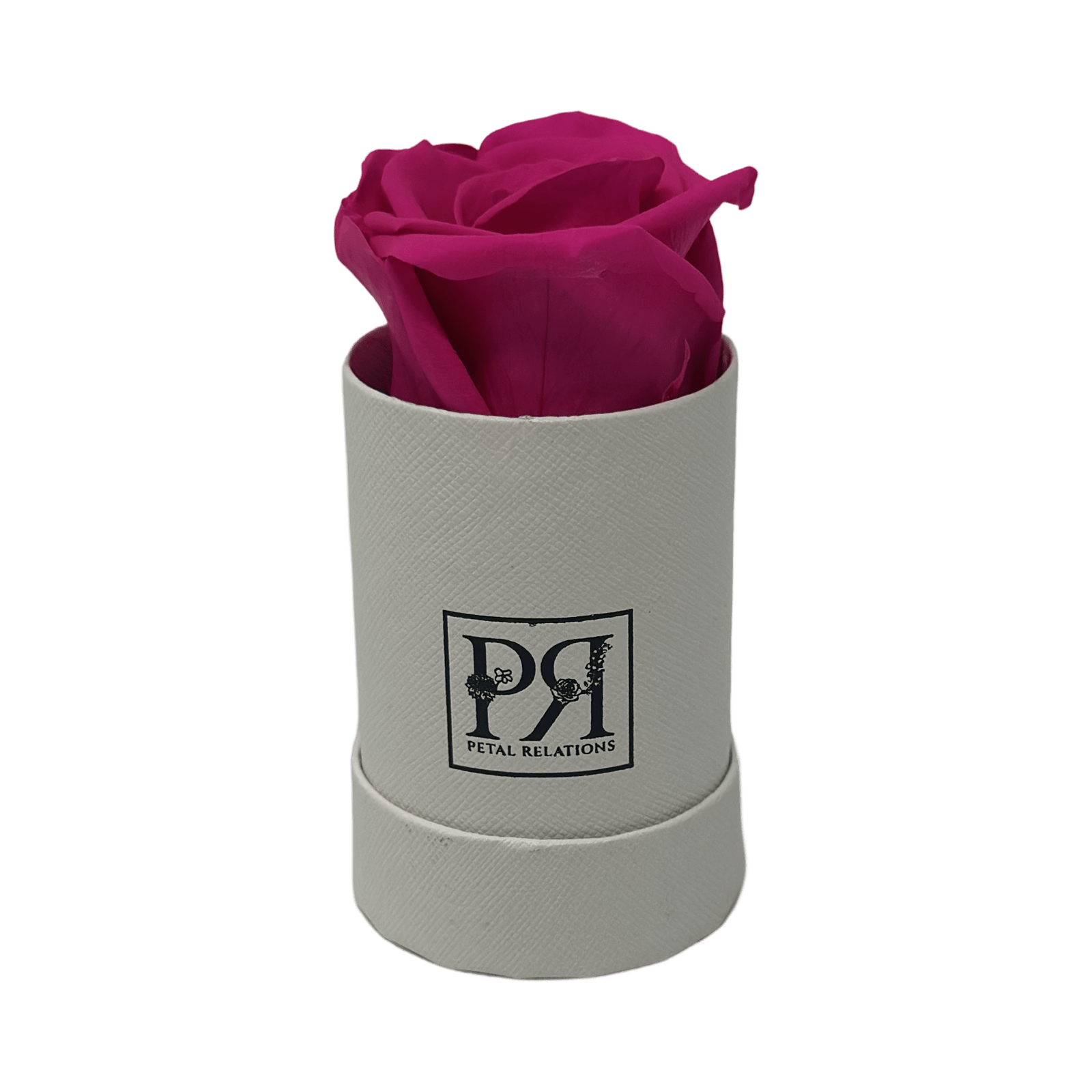 Single - Forever Rose in a Box - Petal Relations LA