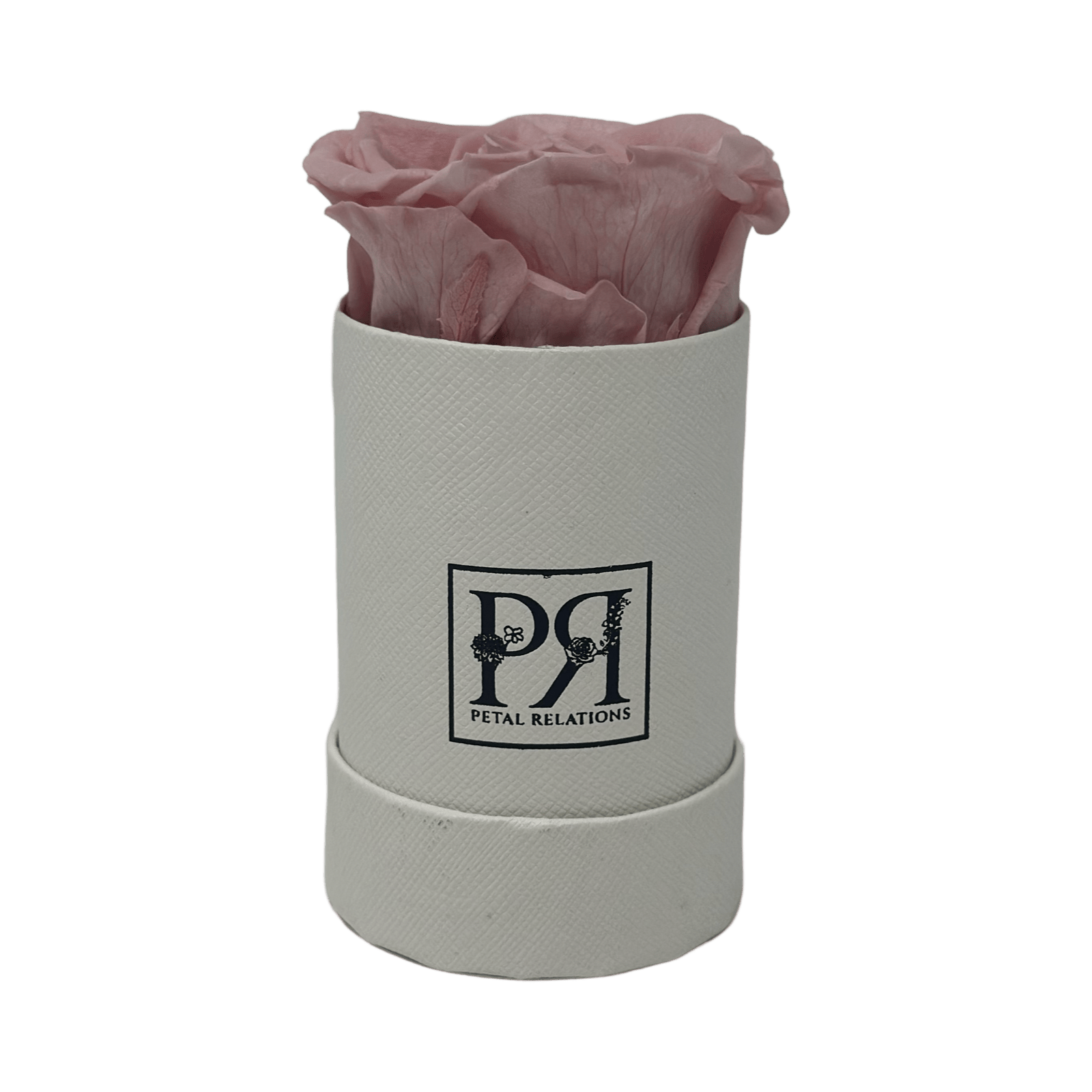 Single - Forever Rose in a Box - Petal Relations LA