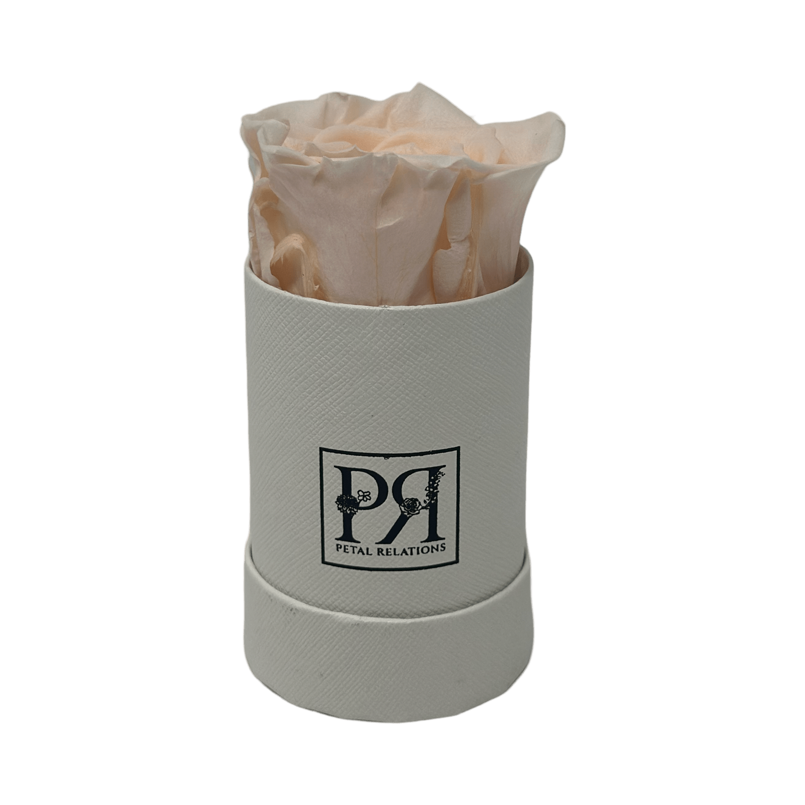 Single - Forever Rose in a Box - Petal Relations LA