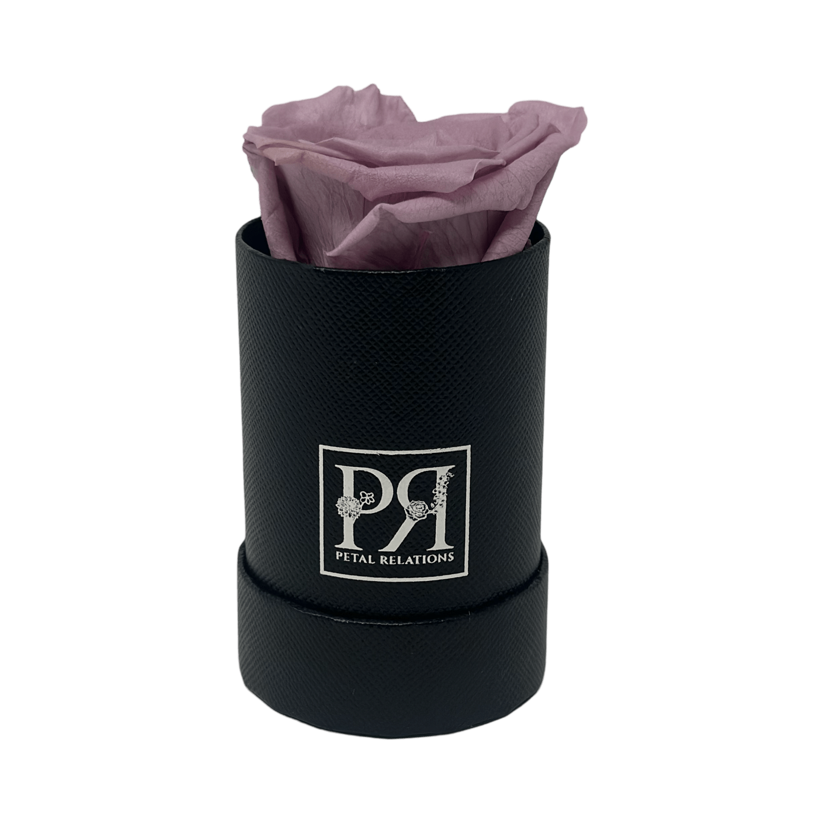 Single - Forever Rose in a Box - Petal Relations LA