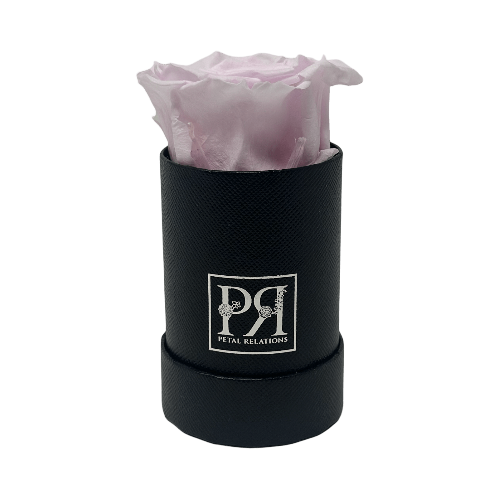 Single - Forever Rose in a Box - Petal Relations LA