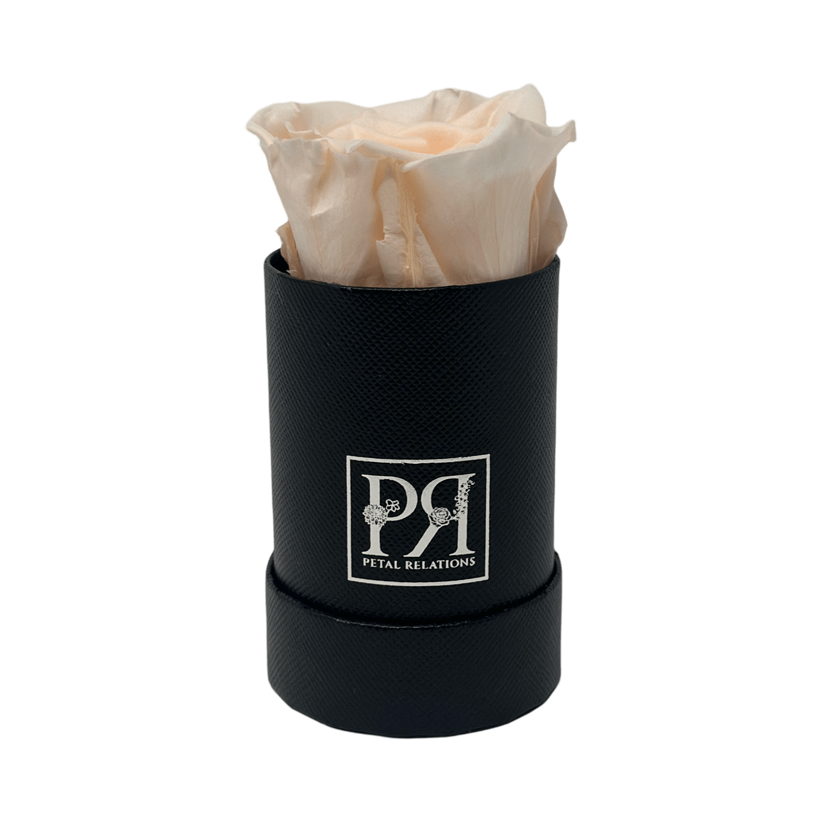 Single - Forever Rose in a Box - Petal Relations LA