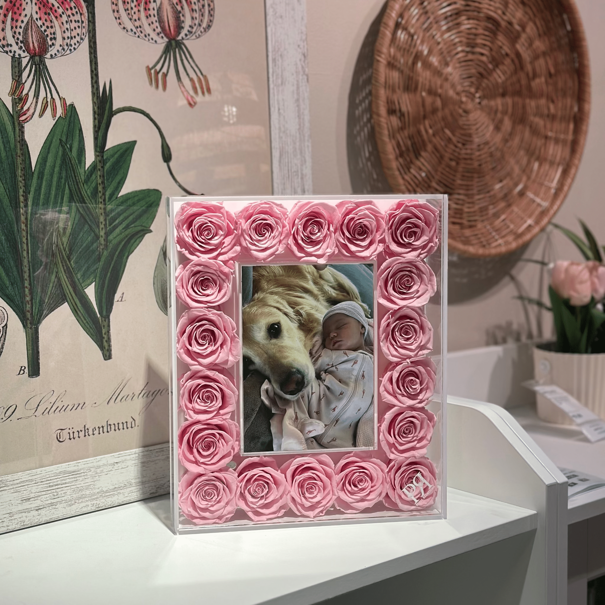 Standard Forever Petal Frame - Petal Relations LA