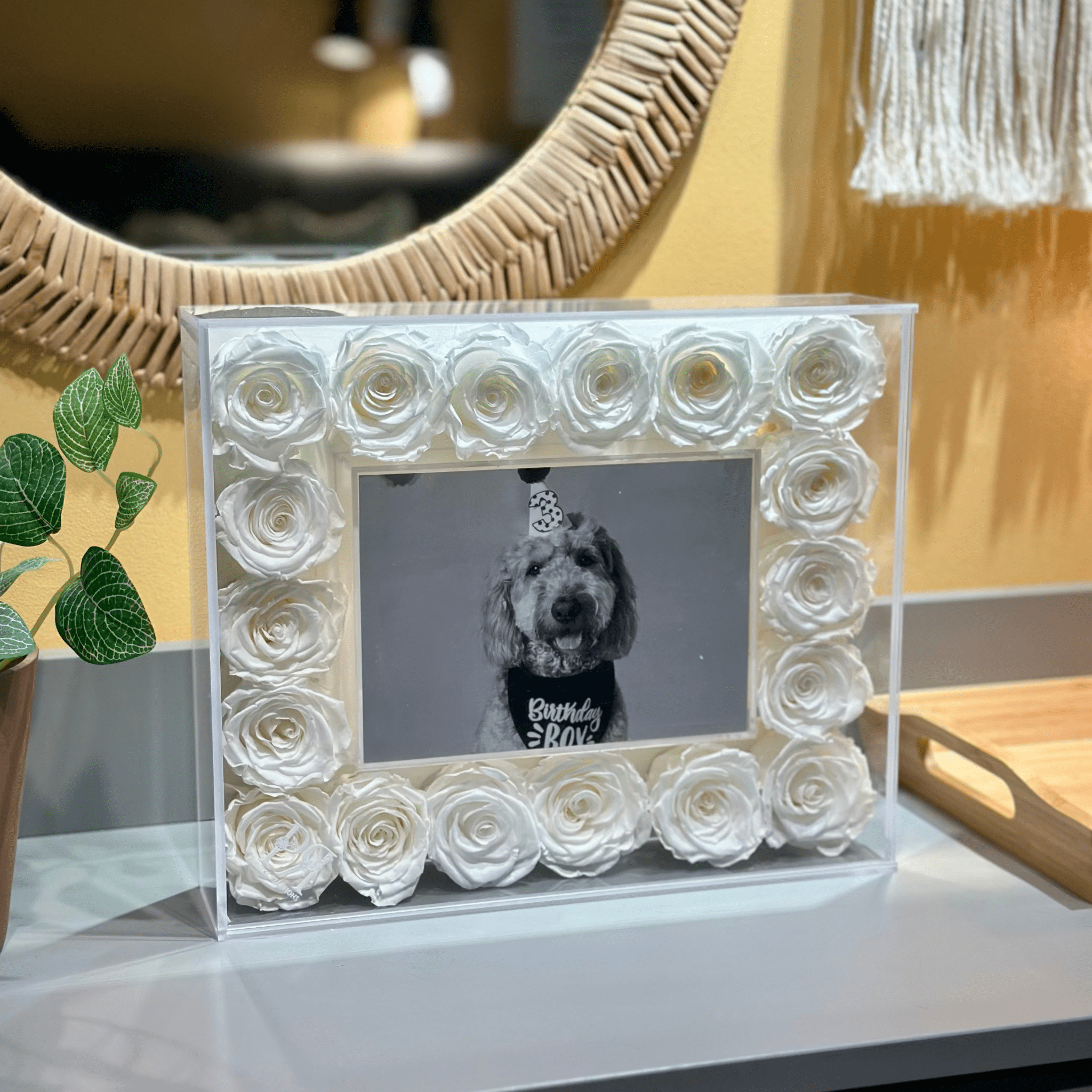 Standard Forever Petal Frame - Petal Relations LA