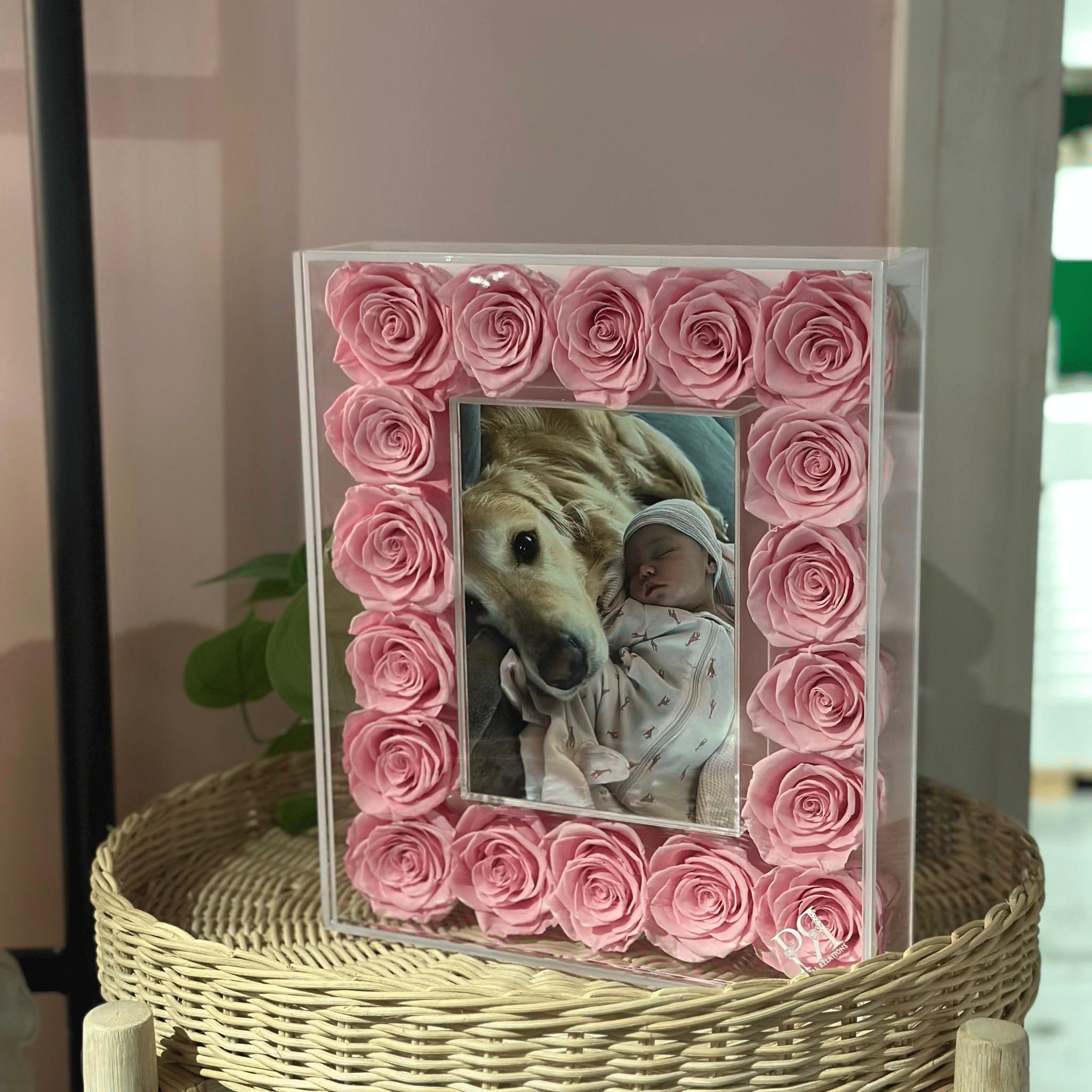 Standard Forever Petal Frame - Petal Relations LA