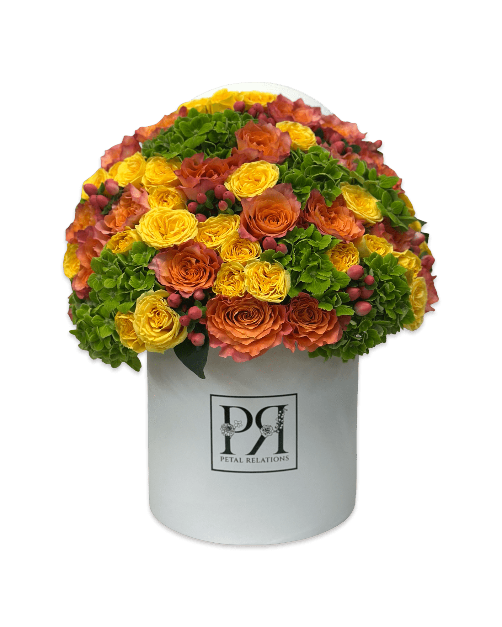 Starburst In A Box - Petal Relations LA