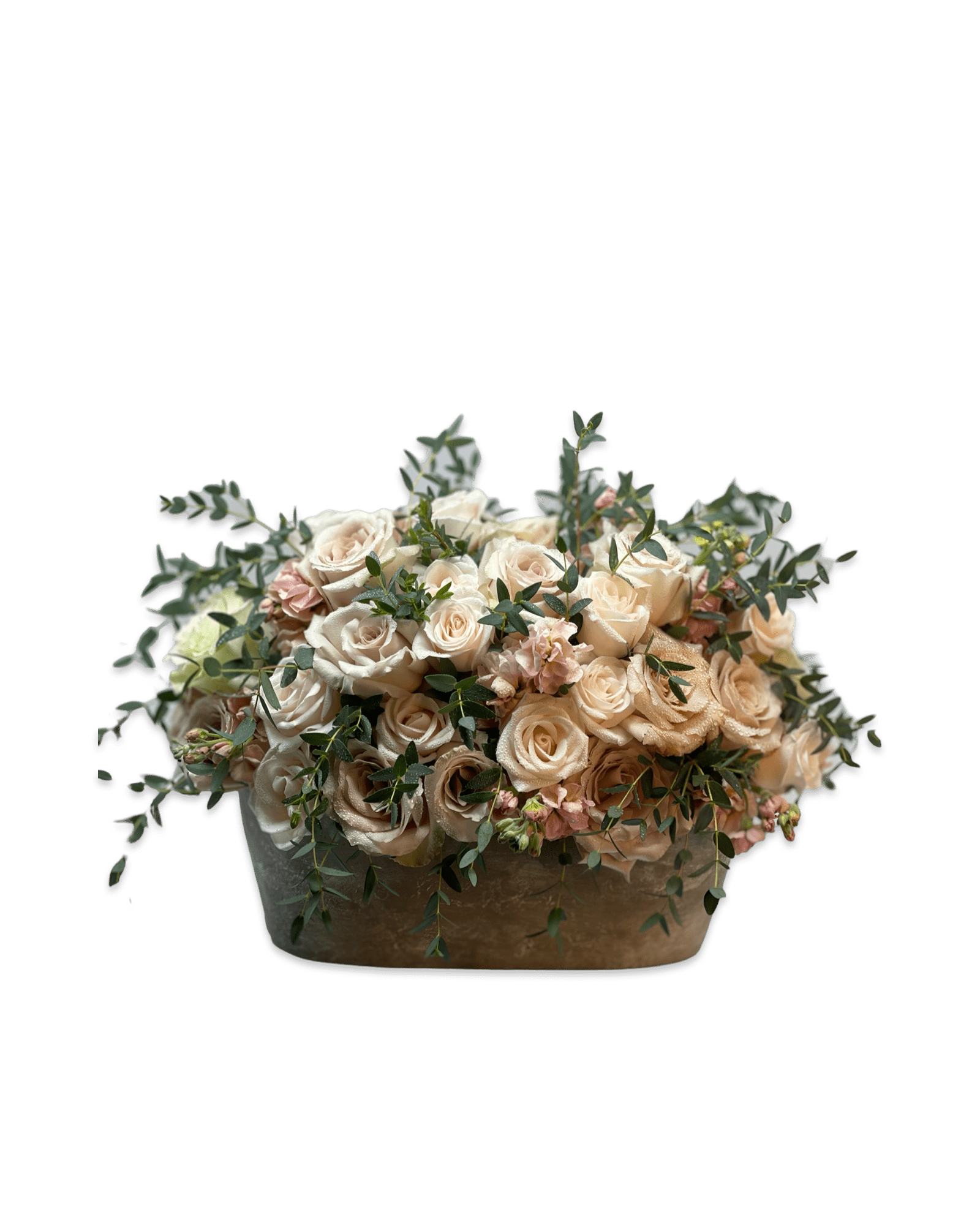 Sugar is Sweet - Petal Relations LA