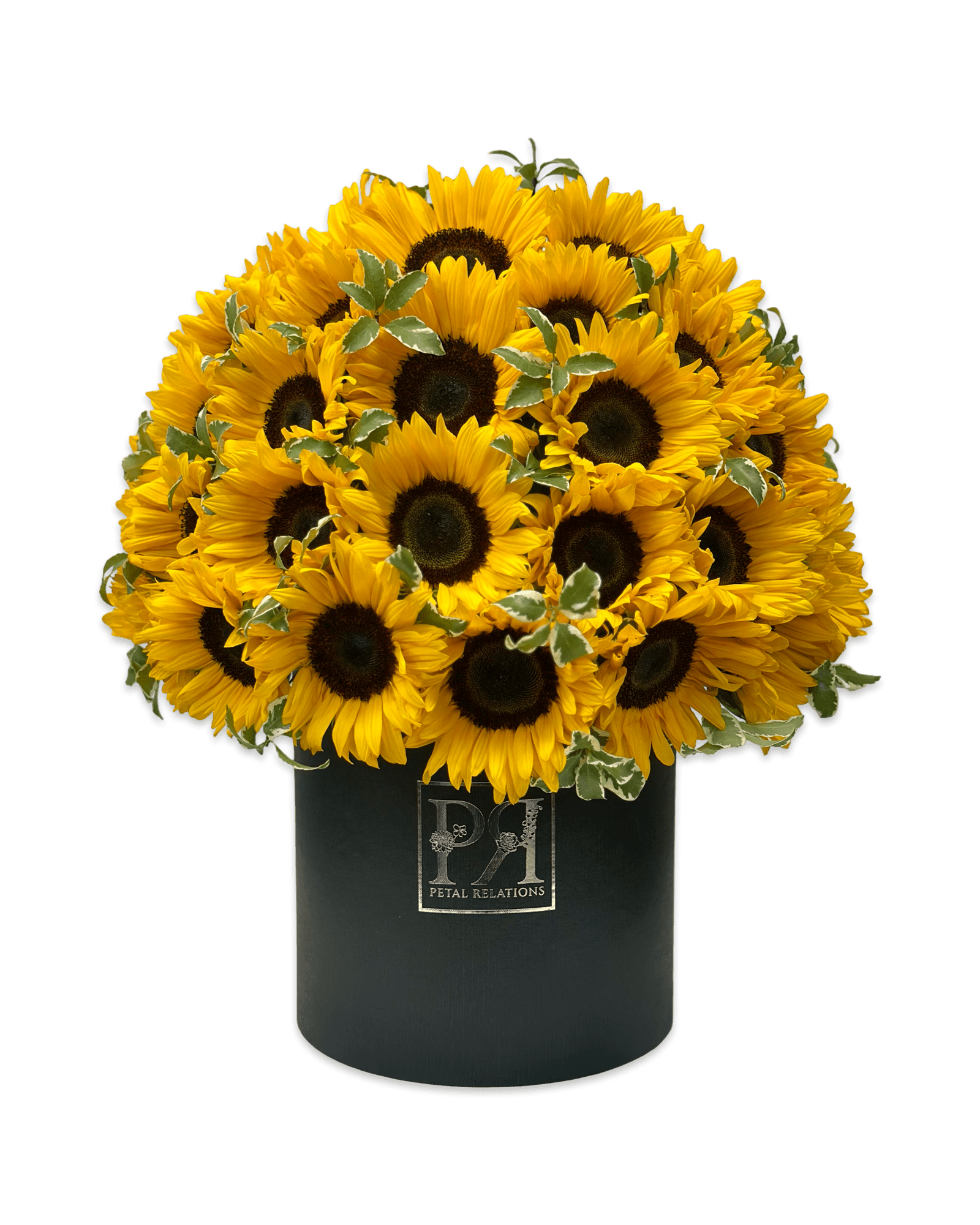 Sunflower Dream - Petal Relations LA
