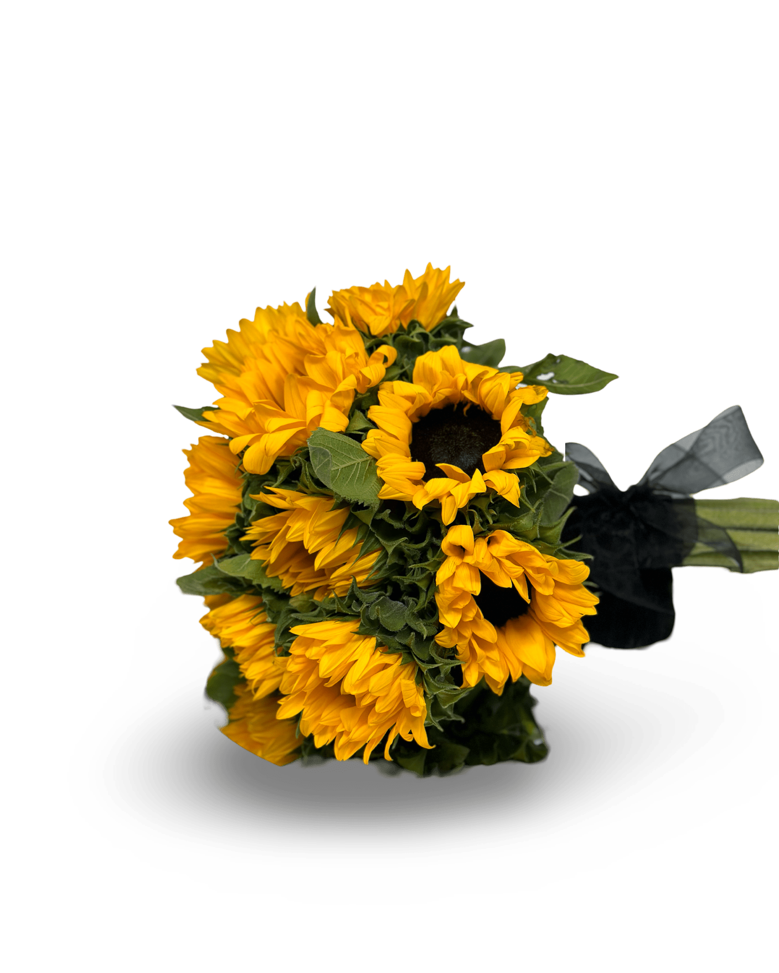 SunflowerOnTheGo - Petal Relations LA