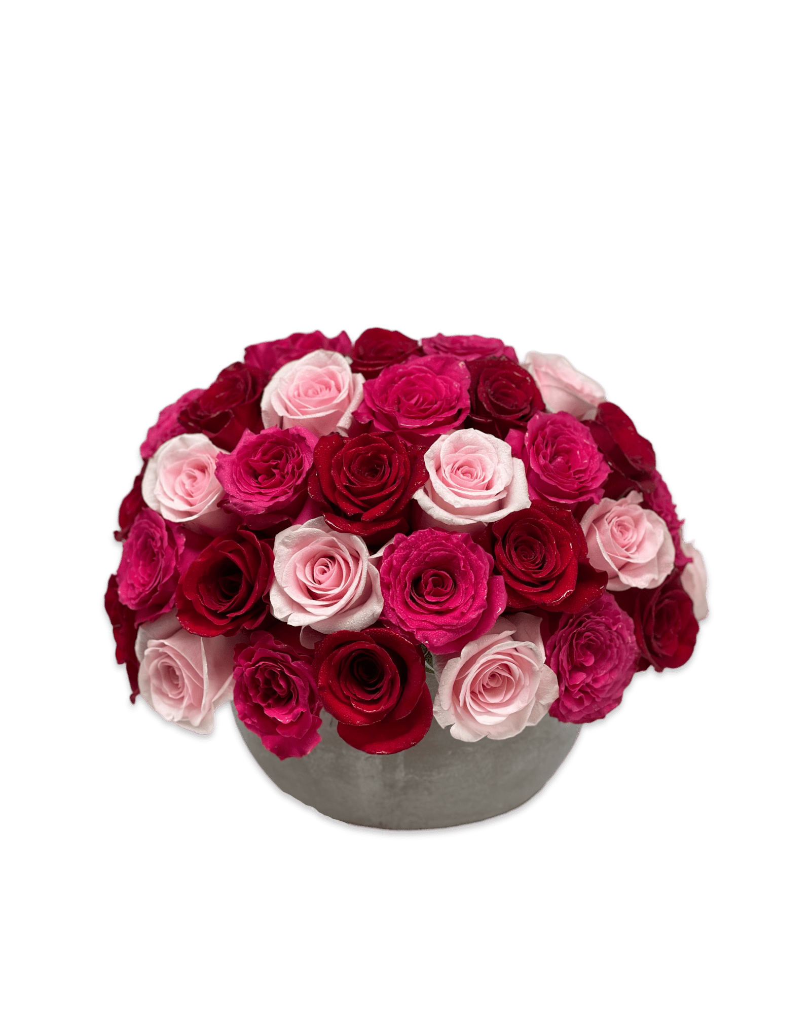 Sweet Dreams - Petal Relations LA