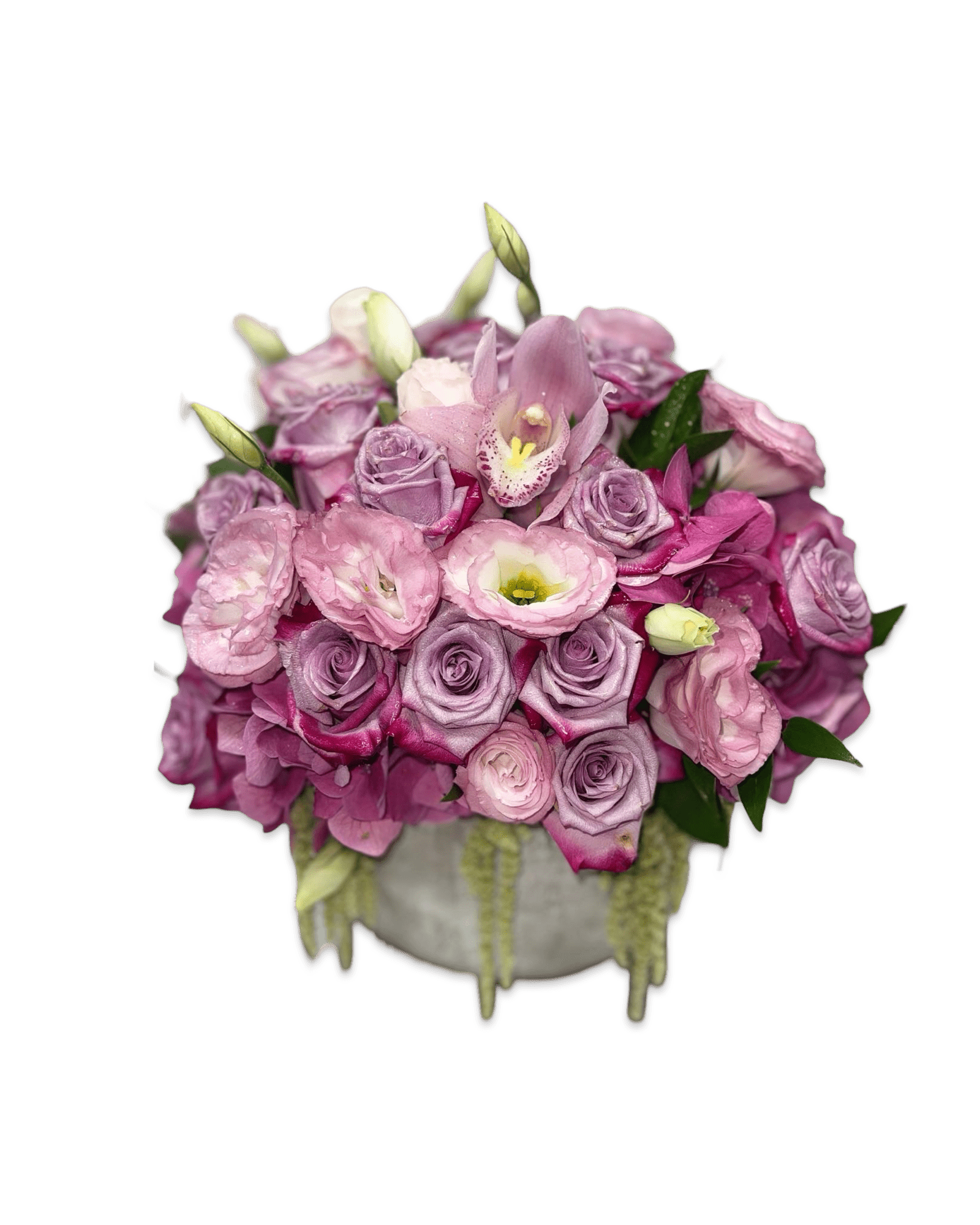 Sweetie Pie - Petal Relations