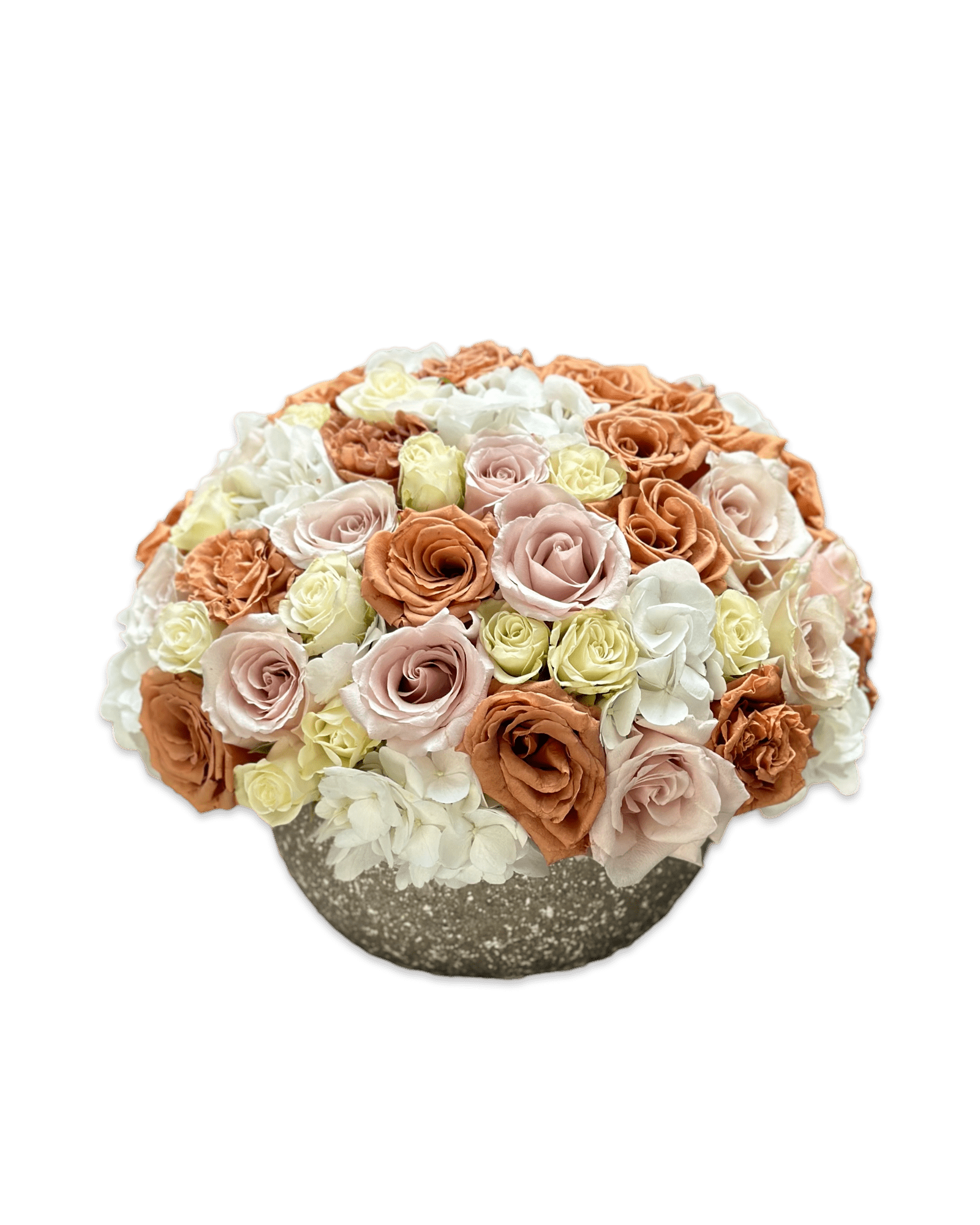 Toffee & Cream - Petal Relations LA