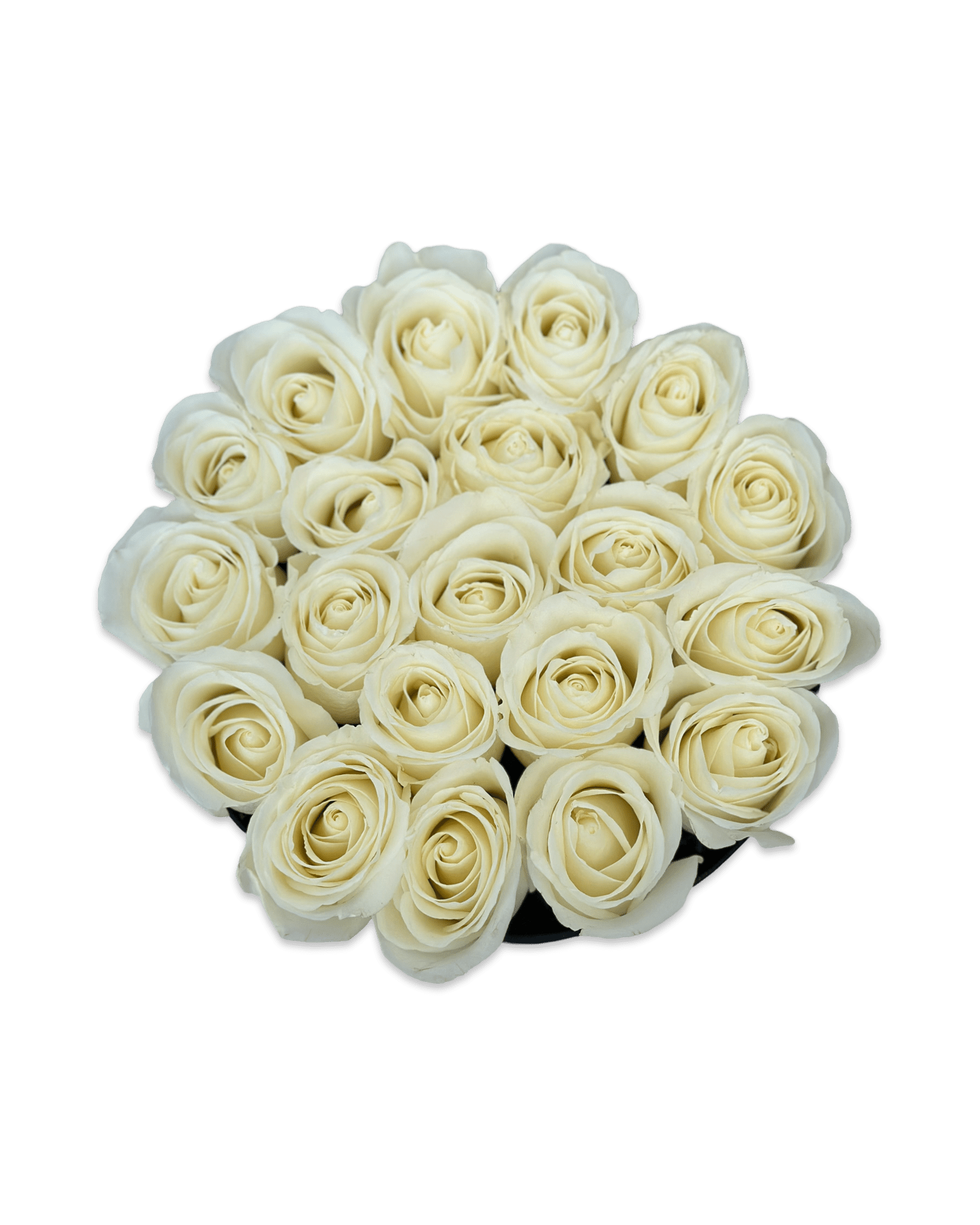 White Joy in a Box - Petal Relations LA
